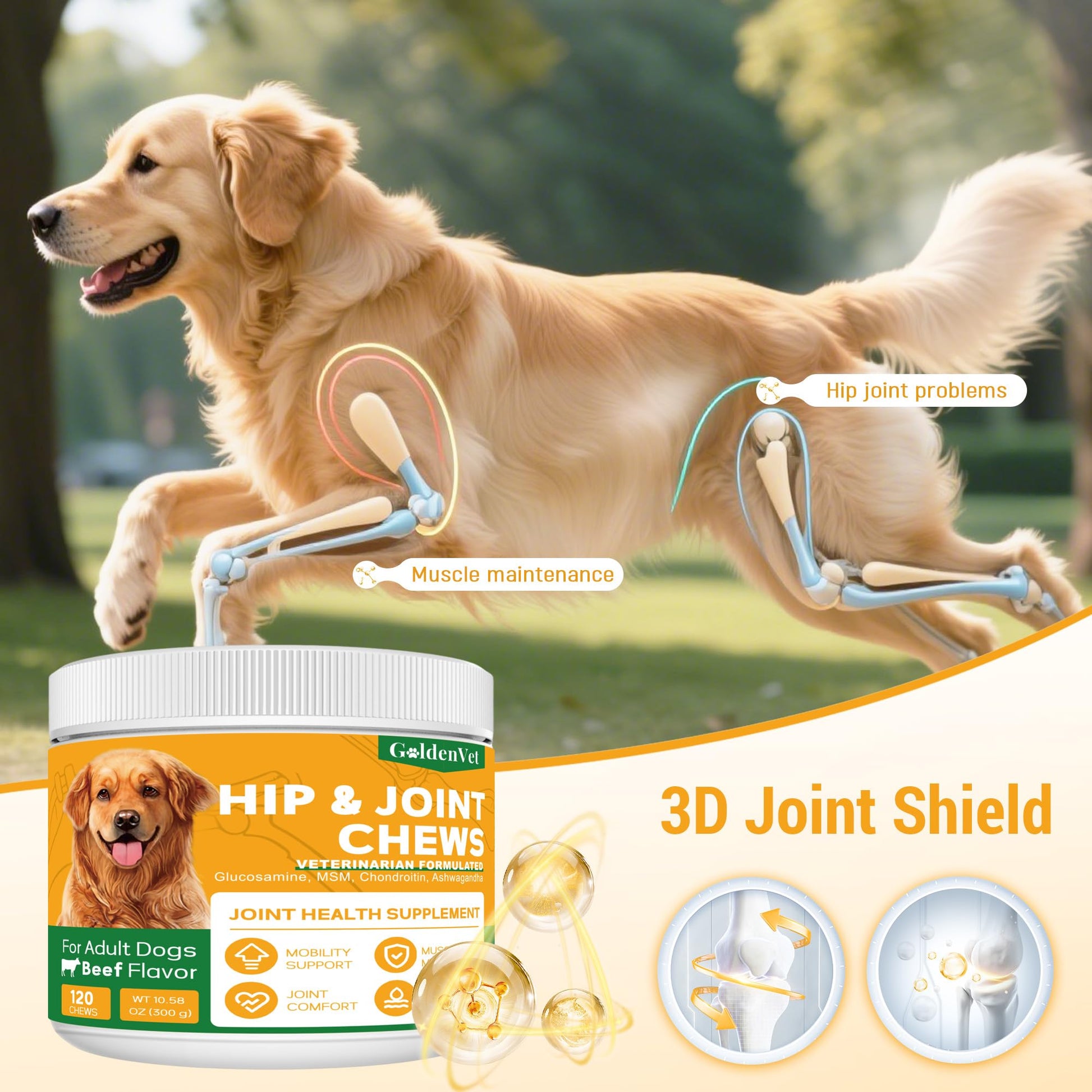 Hip and Joint Chews for Senior Dogs with Glucosamine HCL, Chondroitin, Green-lipped Mussel, Ashwagandha for Anti Inflammatory, Mobility Support, Muscle Maintenance, Joint Comfort 120 Ct GOLDENVET Au supplements