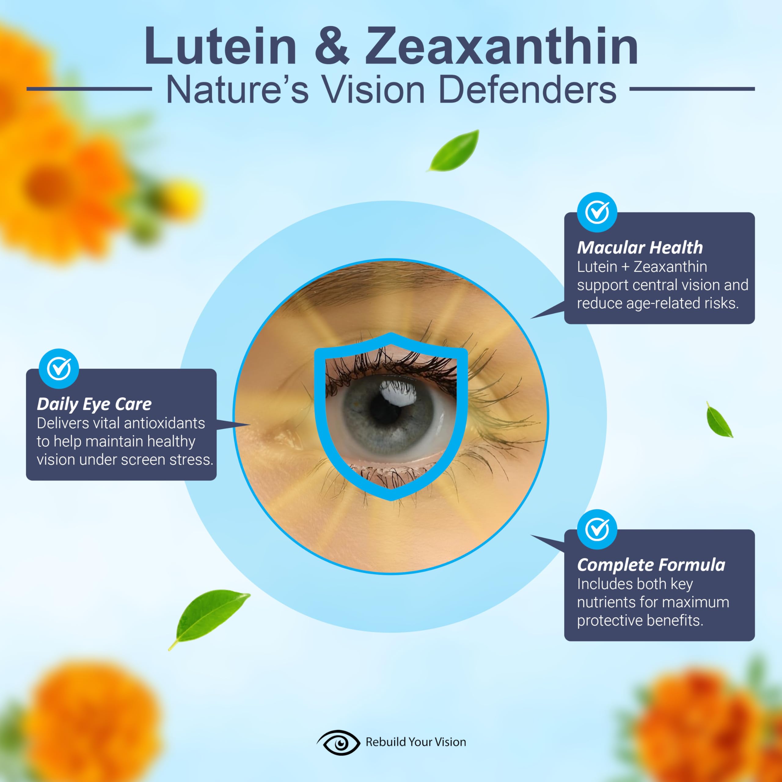 Rebuild Your Vision Ocu-Plus Formula – Eye Health Supplement with Lutein & Zeaxanthin – Supports Visual Clarity, Night Vision & Macular Health – with Bilberry, Ginkgo Biloba & NAC – 60 Capsules Rebuild Your Vision Au supplements