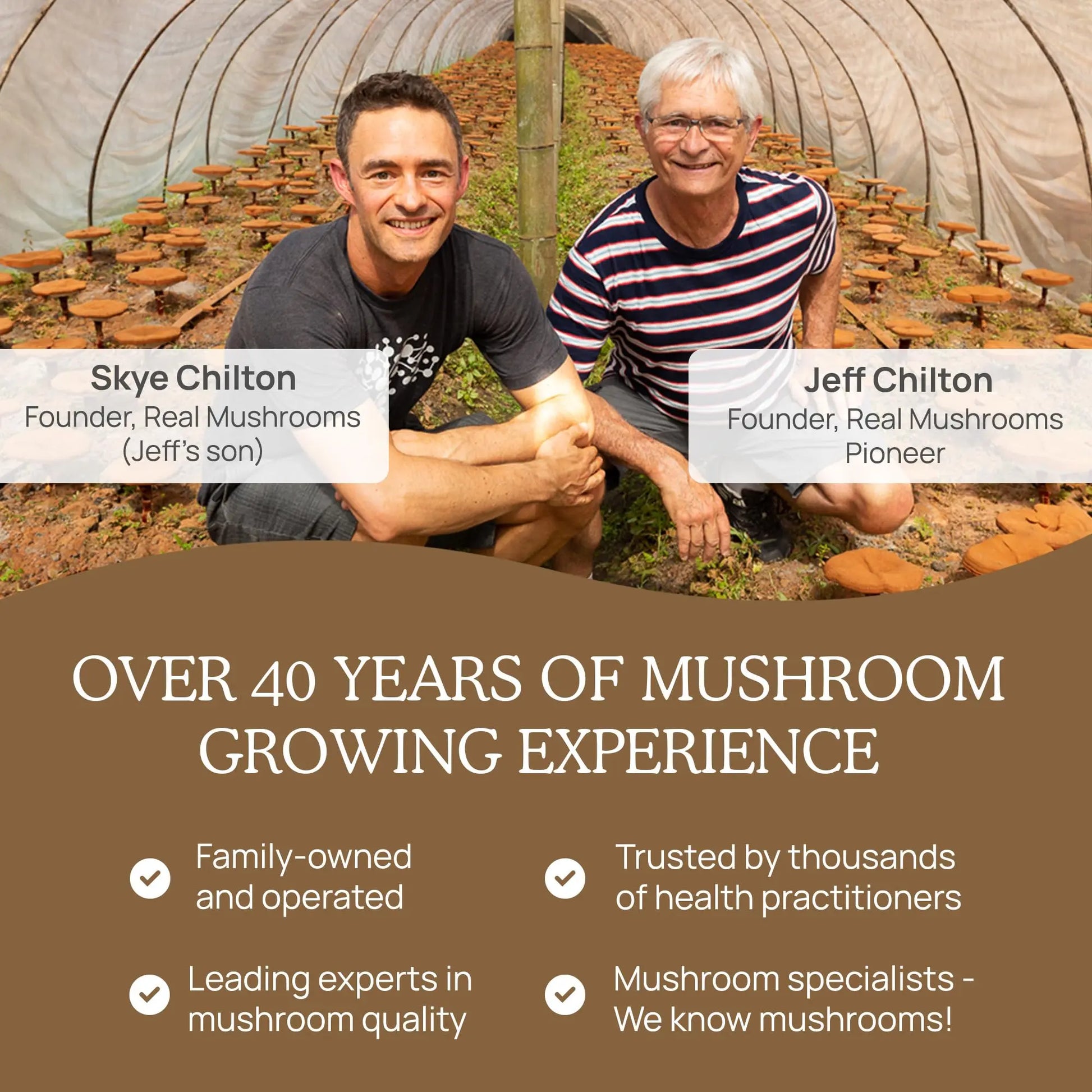 Real Mushrooms Lion’s Mane Powder - Organic Lions Mane Mushroom Extract Real Mushrooms Au supplements