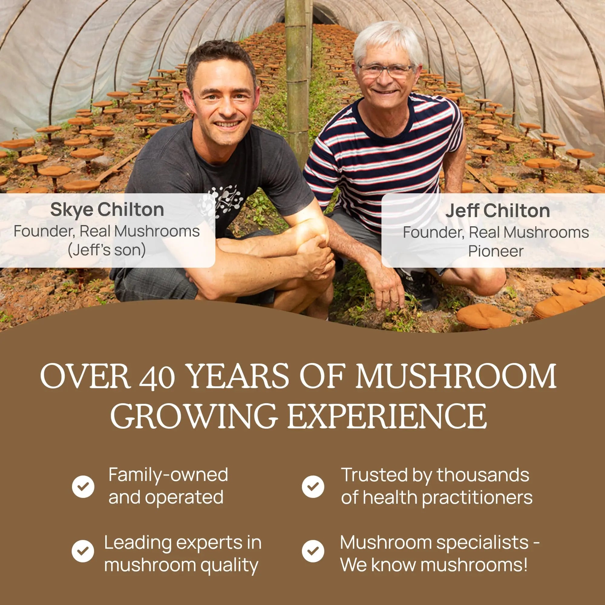 Real Mushrooms Lion’s Mane Powder - Organic Lions Mane Mushroom Extract Real Mushrooms Au supplements