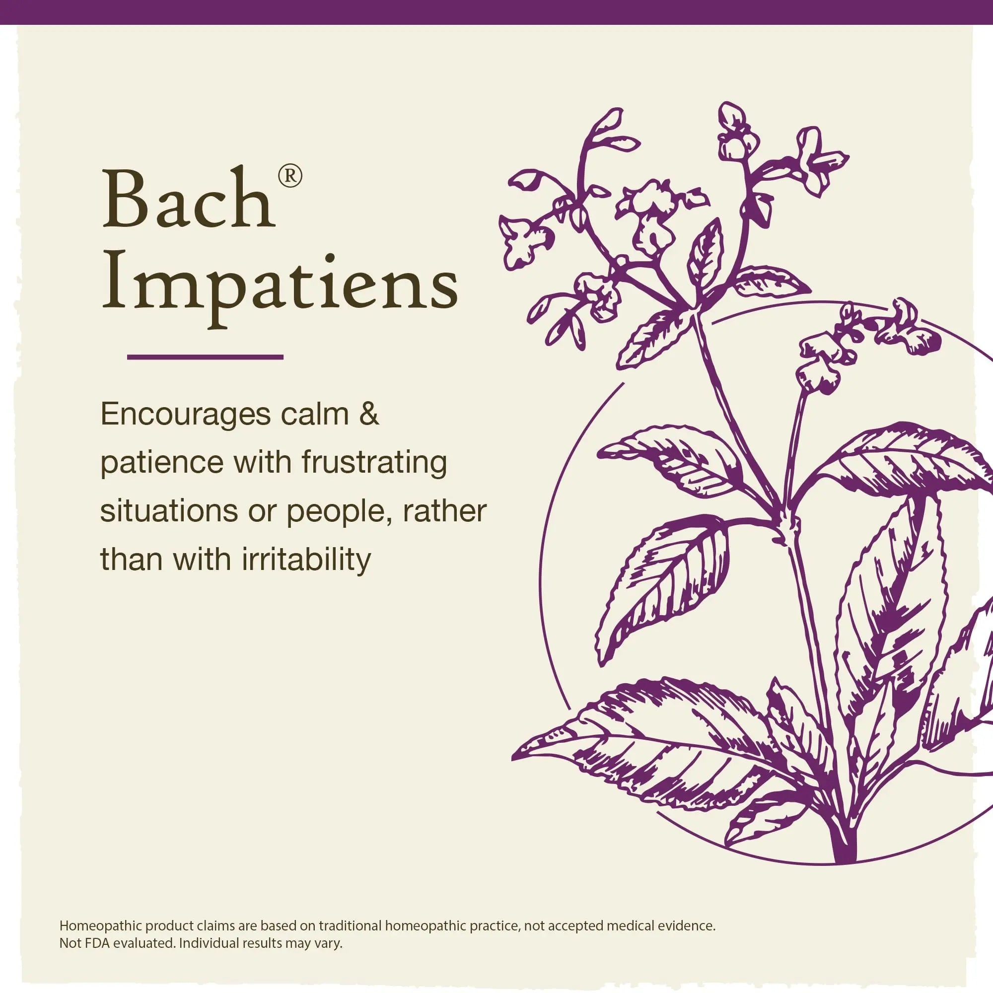 Bach Original Flower Remedies, Impatiens for Patience (Non-Alcohol Formula), Natural Homeopathic Bach Au supplements