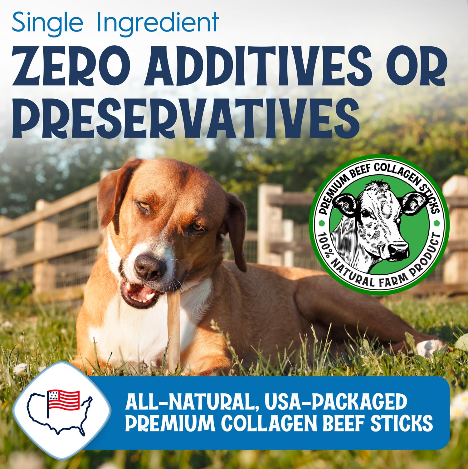 FETCHERONI 6" Collagen Sticks for Dogs – Low Odor Long-Lasting Bully Stick & Rawhide Alternative, Single Ingredient Beef Bone, High Protein Dental Treat, Vet Approved, Improves Joint Health – 5 Pack FETCHERONI Au supplements