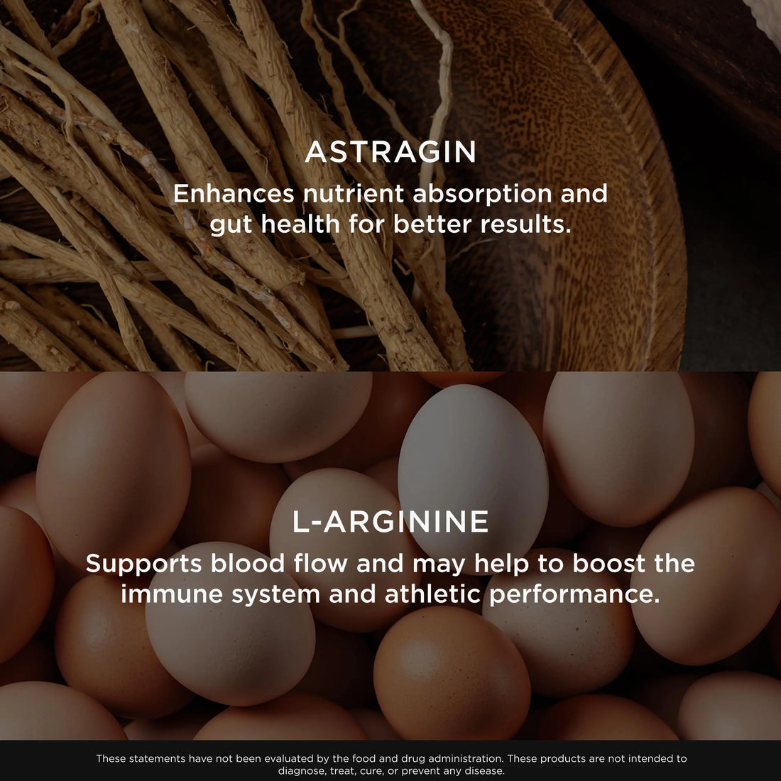 Genius L-Arginine Nitric Oxide Powder - Fermented L- Arginine Nutritional Supplements & Nitric Oxide Booster - Pre Workout, Natural Muscle Builder - 30 Servings, Lemon The Genius Brand Au supplements