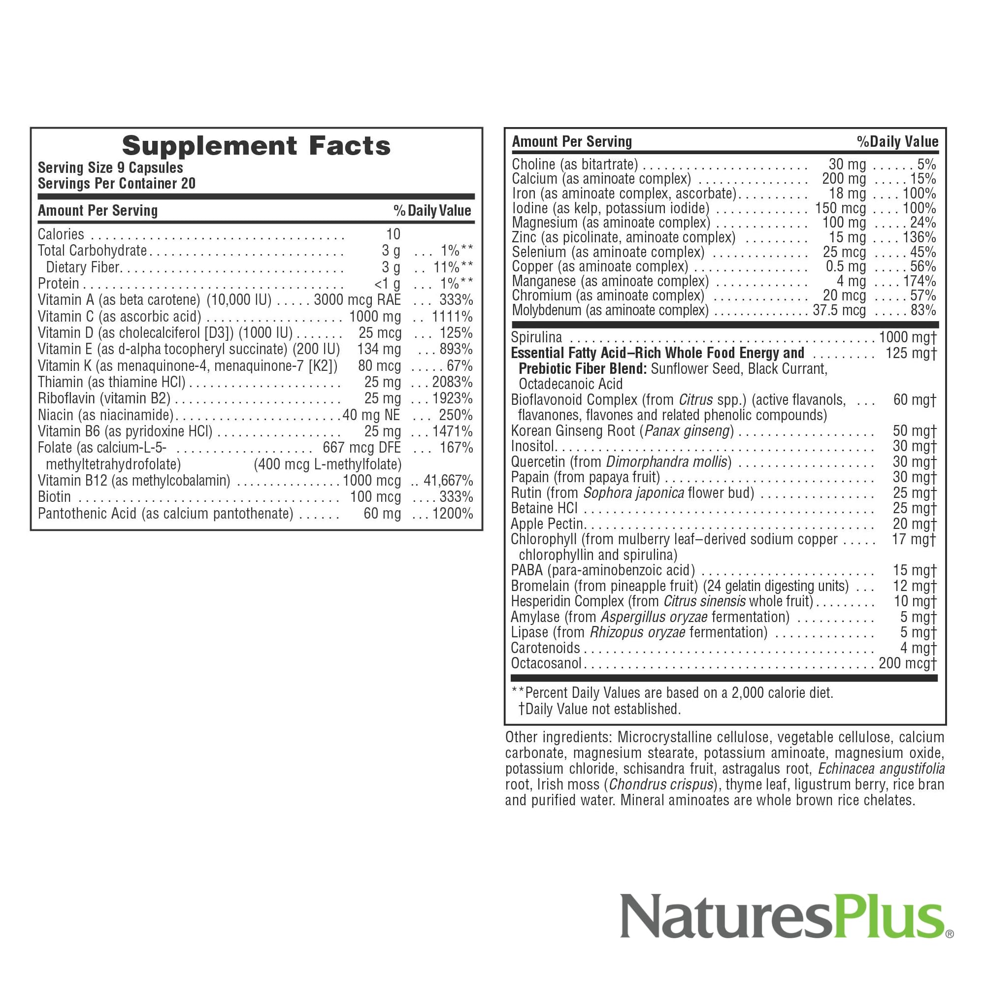 NaturesPlus Source of Life - 180 Capsules - Multivitamin & Mineral Supplement - Supports Natural Energy & Overall Well-Being - Gluten Free, Vegetarian - 20 Servings NaturesPlus Au supplements