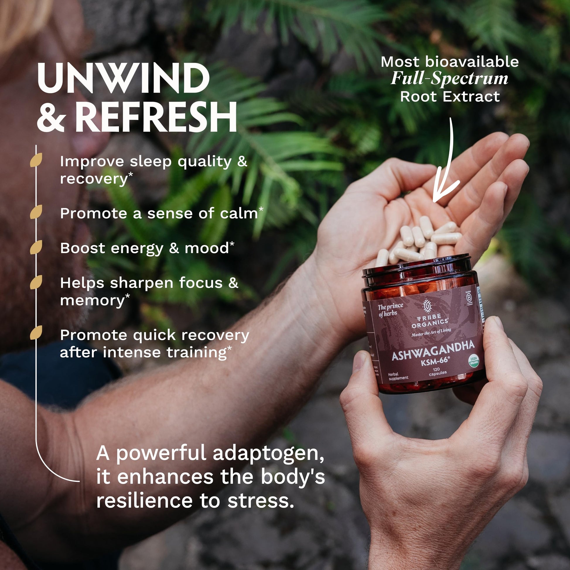 TRIBE ORGANICS Ashwagandha KSM 66 Pure Organic Root Powder Extract Ayurvedic Supplement - Focus, Mood Support, Increase Energy, Strength, 600mg of Natural KSM66 for Superior Absorption - 120 Capsules TRIBE ORGANICS Au supplements
