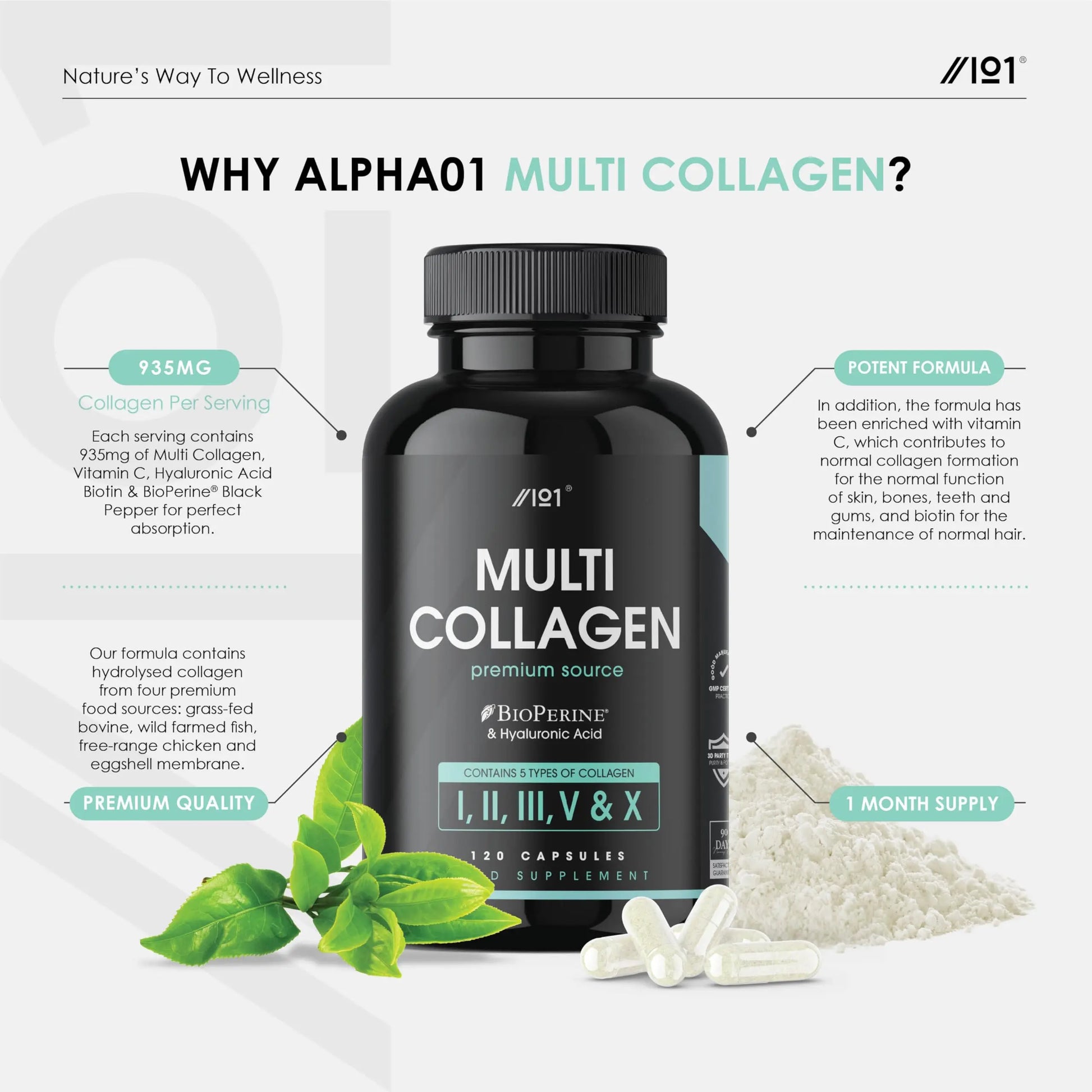 Multi Collagen Capsules - 120 Capsules - Types I, II, III, V & X - Wild Caught Fish, Grass Fed Bovine, Eggshell Revive Naturals Au supplements