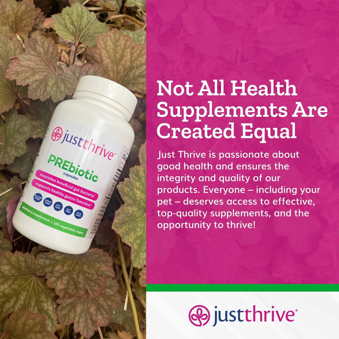 Just Thrive PREbiotic Capsules - Prebiotic Blend for Gut Health and Immune Support, 120 Caps Just Thrive Au supplements