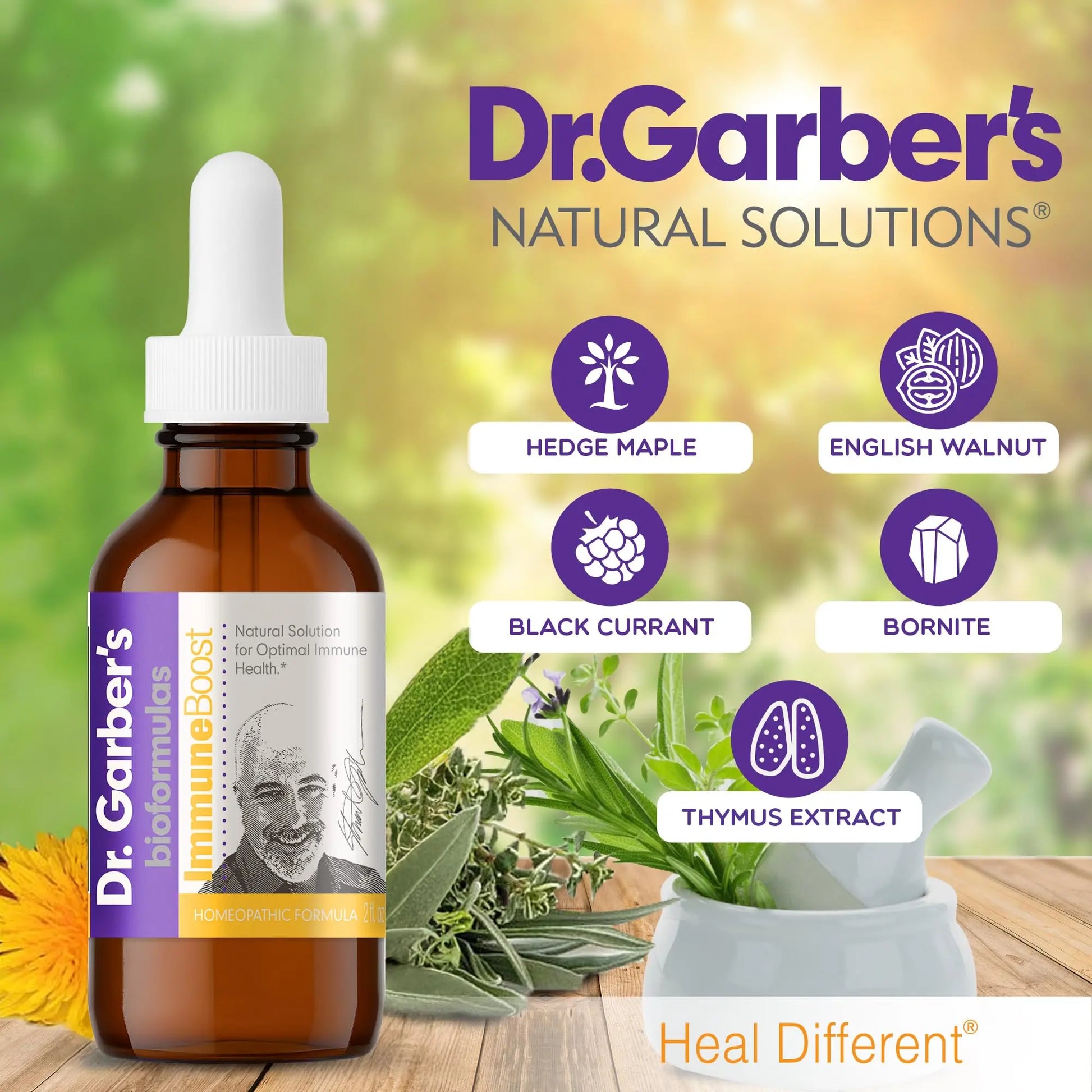 Dr. Garber's Natural Solutions Immune Boost Health Oral Drops - Gemmotherapy Liquid Supplement to Strengthen Immunity, Support Immune System, Increase Resistance, & Contains Antioxidants - 60ml DR.GARBER'S Au supplements