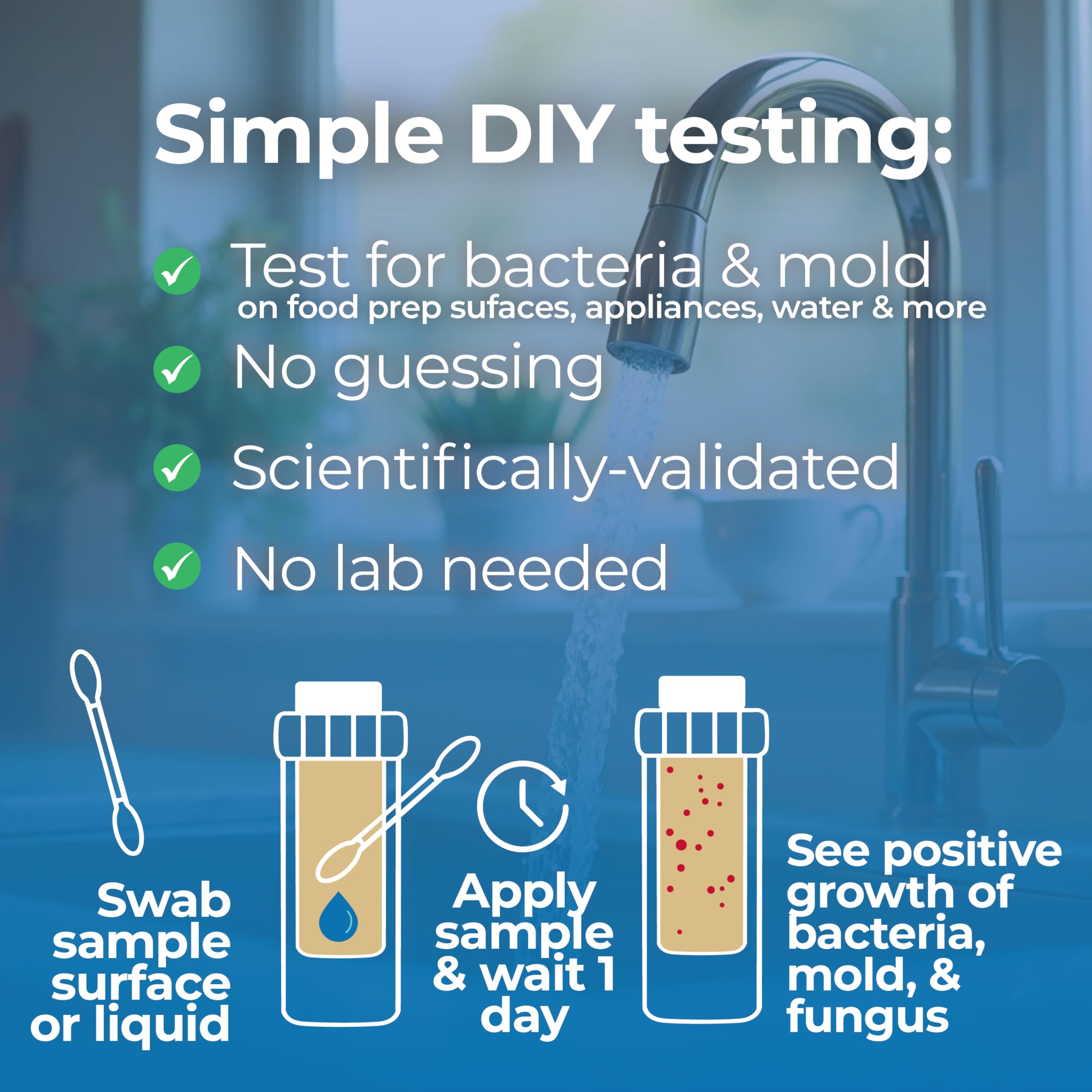 #1 Home, Kitchen, & Appliance Microbial Growth Test Kit – Simple DIY Screening for Bacteria, Mold, & Fungus – Know Your Home is Clean – Made in USA (1 Kit = 4 Bac + 4 Mold Tests) Detekt Au supplements
