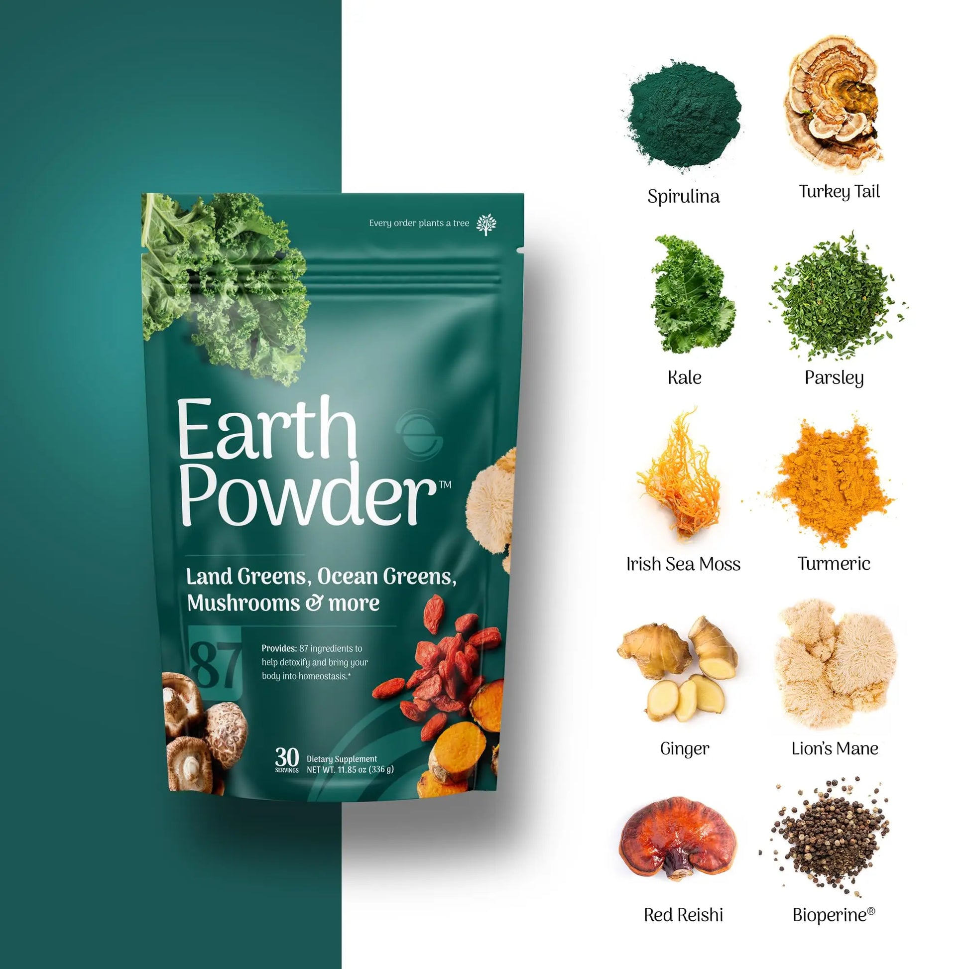 Earth Powder Daily Foundational Nutrition Supplement with 28 Greens & 10 Mushrooms | 87 Nutrients for Energy, Gut Health & Mental Clarity Earth Powder Au supplements
