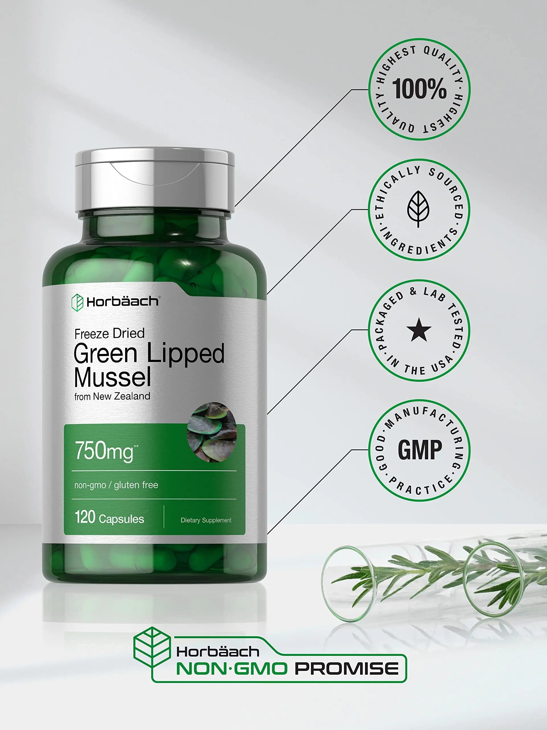 Green Lipped Mussel | 750 mg | 120 Capsules | from New Zealand | Premium Freeze Dried Horbäach Au supplements