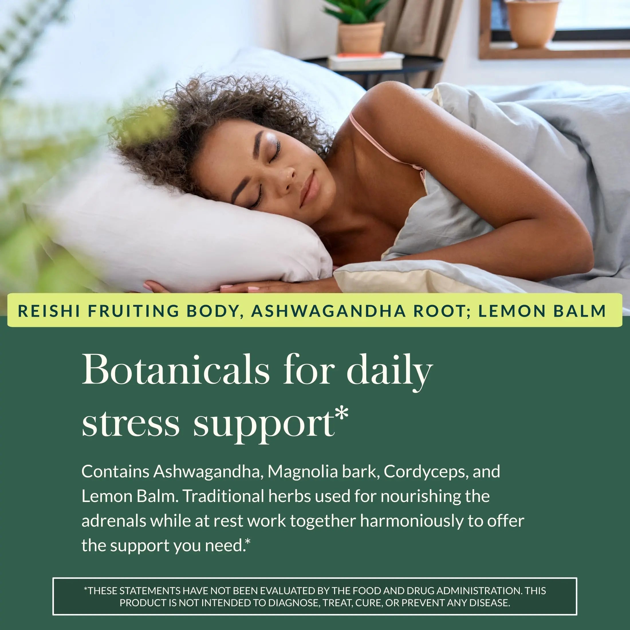 Gaia Herbs Adrenal Health Daily Support, Help Maintain Healthy Energy & Stress Levels*,120 Liquid Phyto-Caps Adrenal Health Nightly Restore, 120 Liquid Phyto-Caps - Bundle Gaia Herbs Au supplements