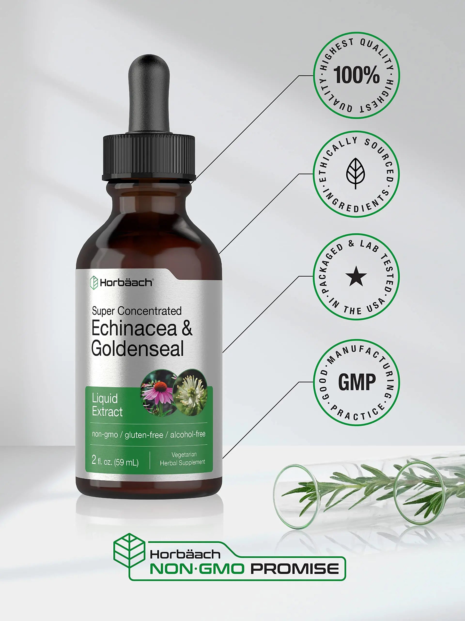 Echinacea Goldenseal Liquid Extract | 2 fl oz | Alcohol Free Tincture Drops | Vegetarian Horbäach Au supplements