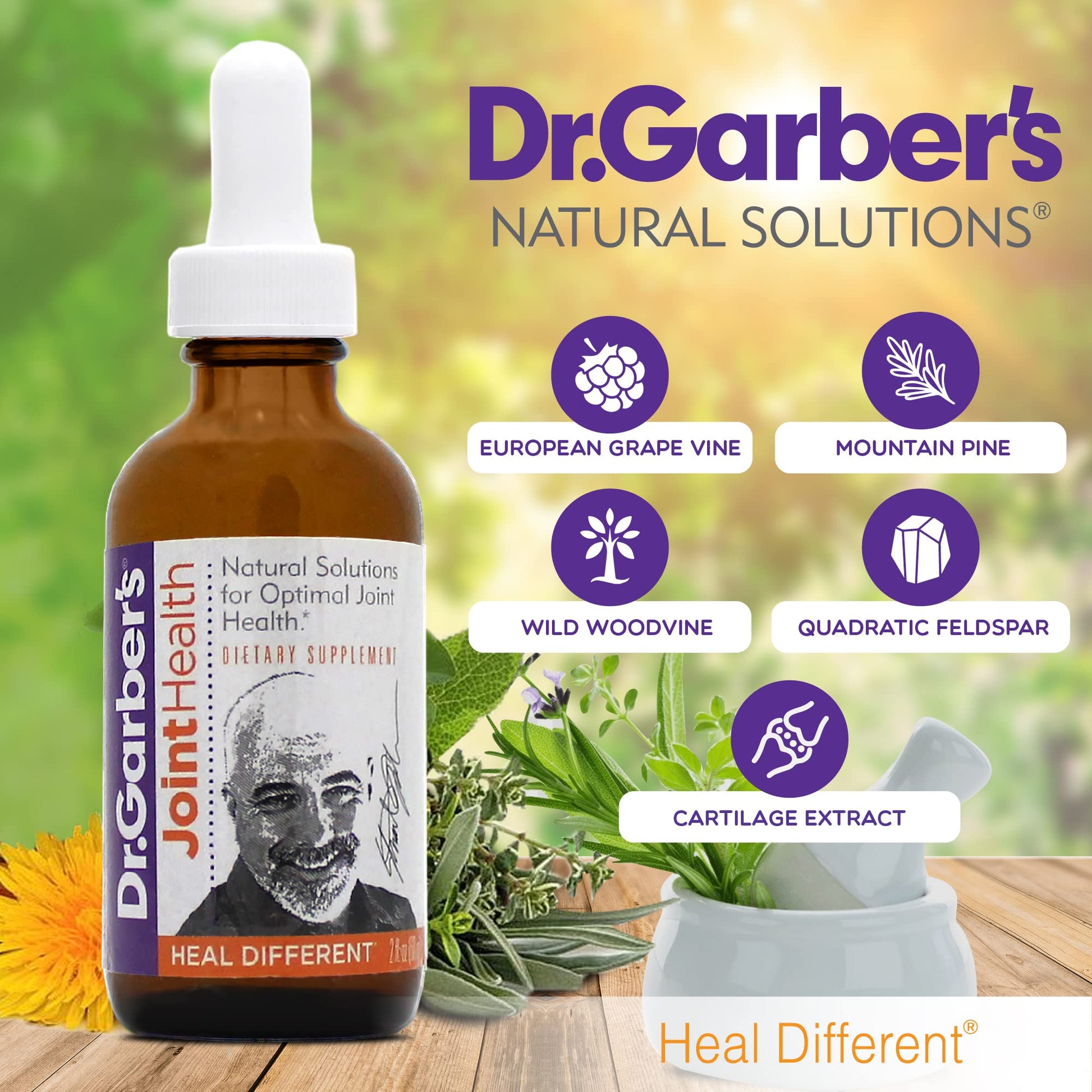 Dr. Garber's Natural Solutions Joint Health Oral Drops - Gemmotherapy Liquid Supplement for Healthy Joint Support & Function, Joint Repair, and Improved Mobility & Flexibility - 60ml DR.GARBER'S Au supplements