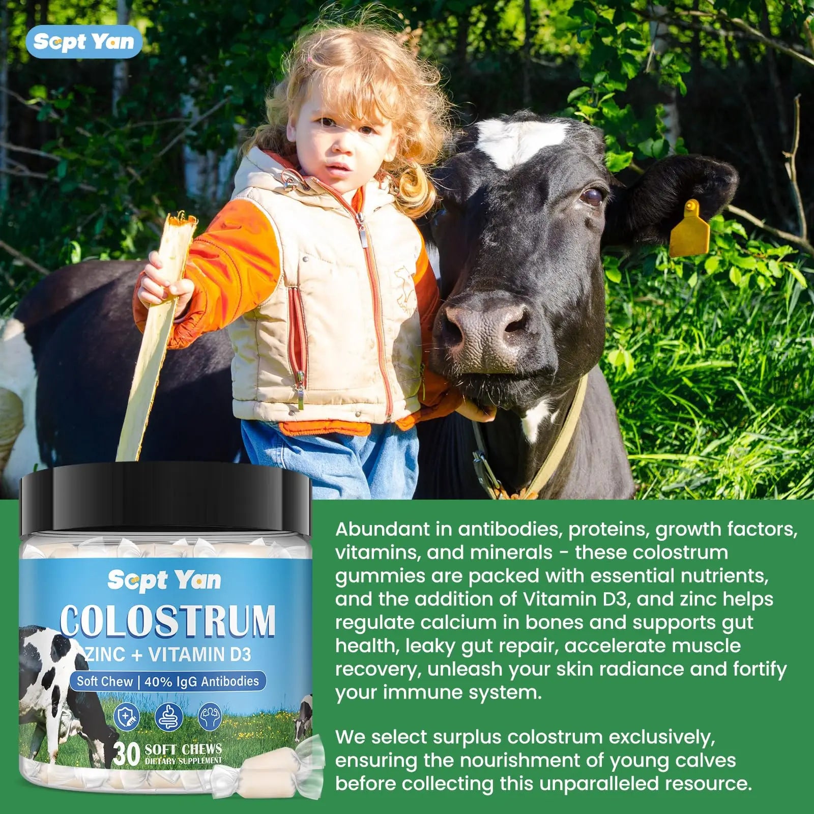 Colostrum Soft Chew Supplement (3000mg + 40% IgG), Concentrated Bovine Colostrum SEPT YAN Au supplements