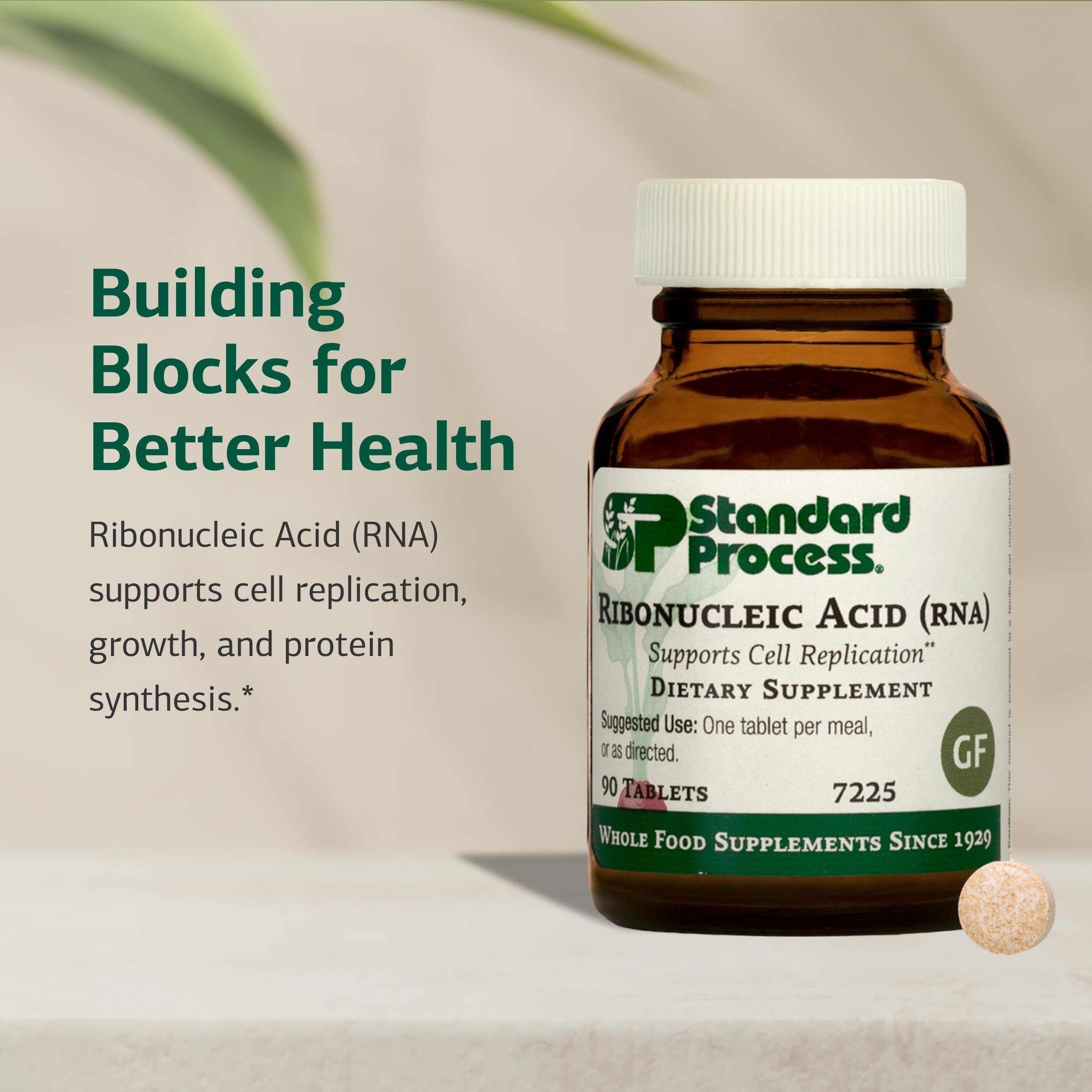 Standard Process Ribonucleic Acid RNA - Cell Development Support - Aids Protein Synthesis - Vegan, Gluten-Free, Non-Soy, & Non-Grain - 90 Tablets (90 Servings) Standard Process Inc. Au supplements