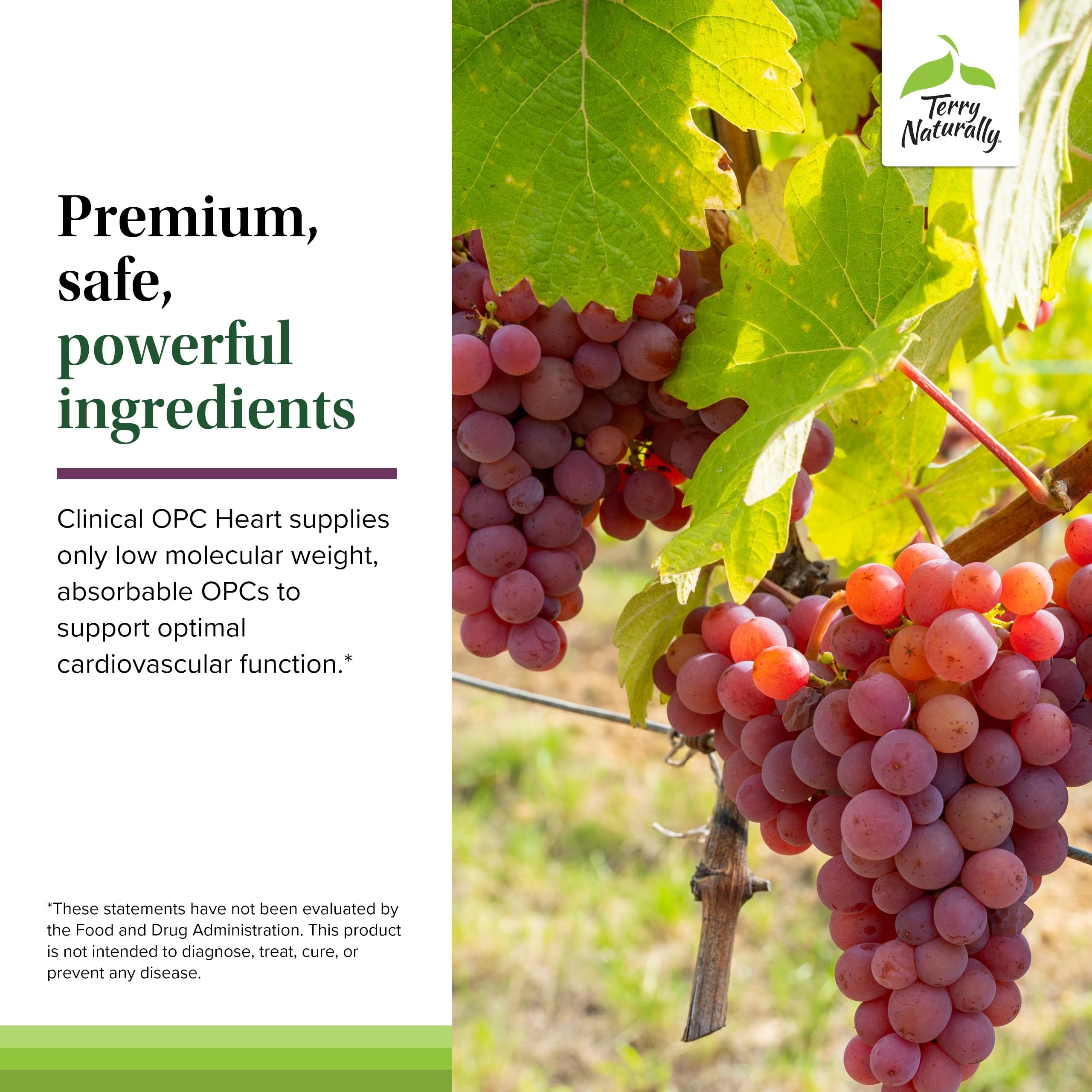 Terry Naturally Clinical OPC Heart - Heart Health Supplement with Magnesium, Vitamin B6, Grape Seed Extract - Dietary Supplement for Artery Health & Circulation - 60 Capsules Terry Naturally Au supplements