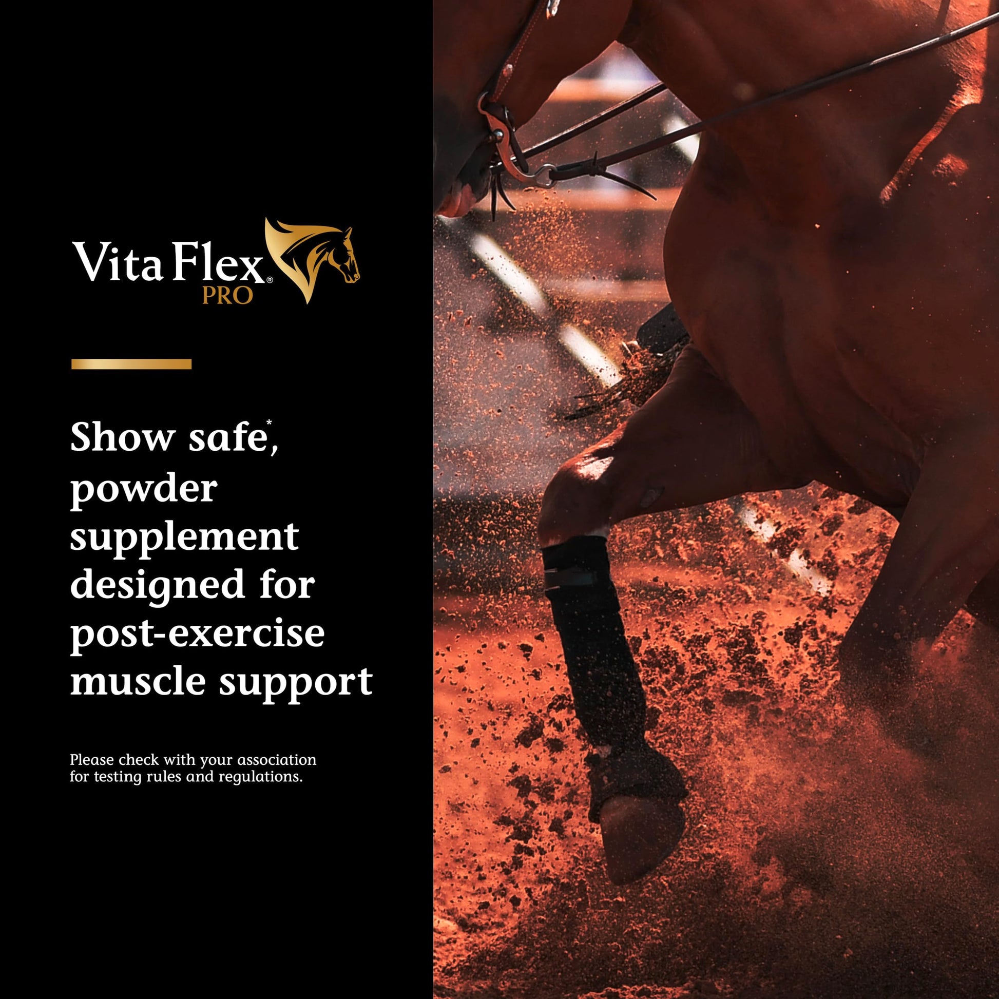 Vita Flex Pro Recovery by the Makers of Lactanase, Post Performance Horse Supplements 40 g, Show Safe Muscle Recovery Supplements, Amino Acids for Horses, Strength & Joint Health Vita Flex Au supplements