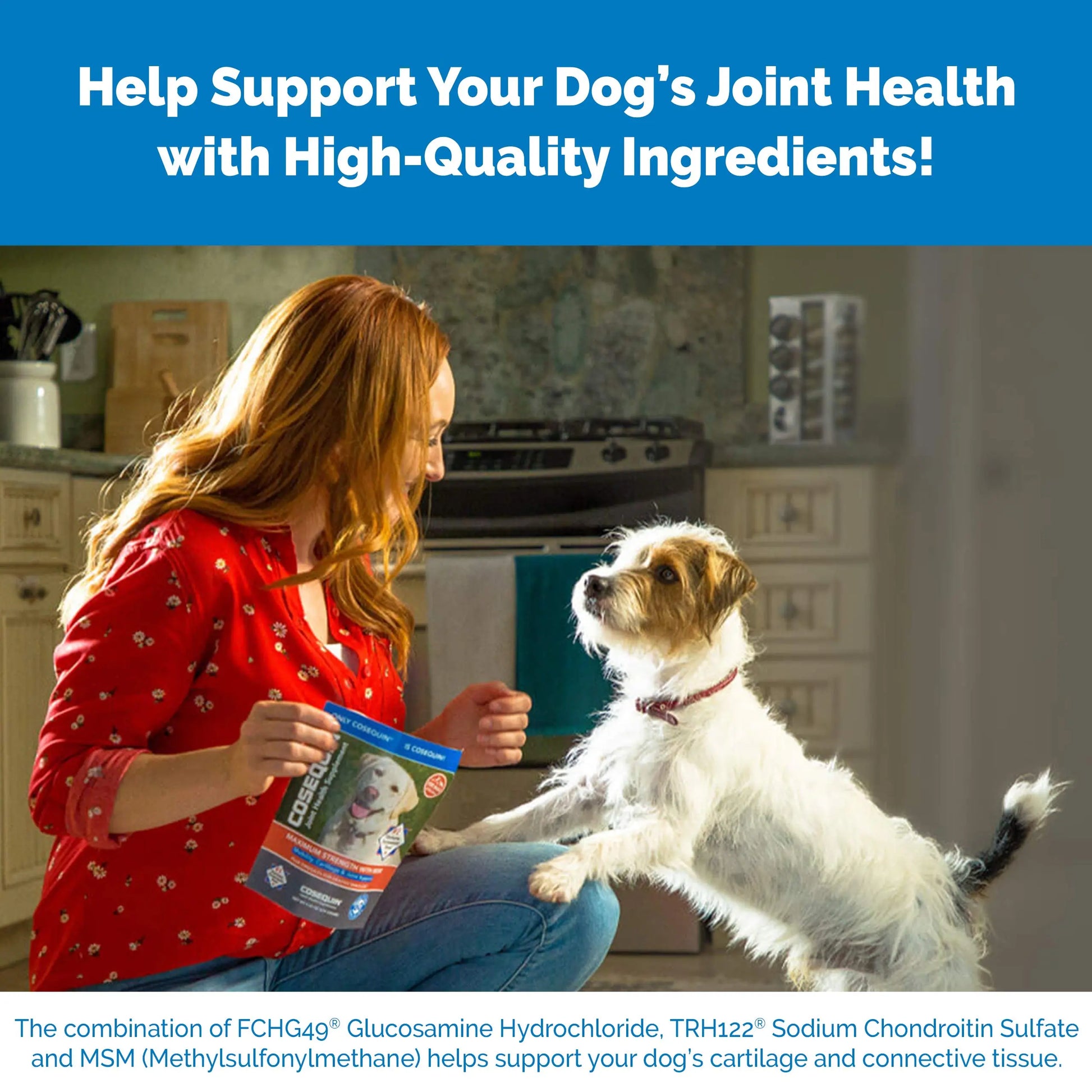 Nutramax Laboratories Cosequin Maximum Strength Joint Health Supplement for Dogs Nutramax Laboratories Au supplements