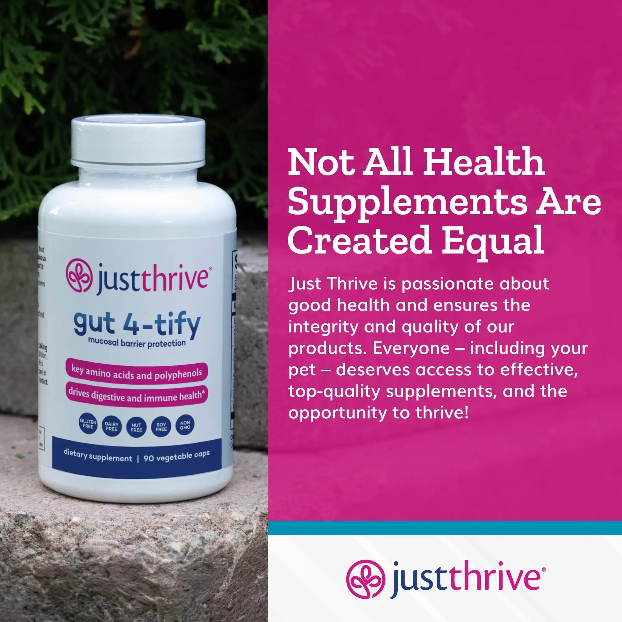Just Thrive Gut 4-tify - Gut Health Supplements for Women and Men - Anti Bloat, 90 Vegetable Capsules Just Thrive Au supplements