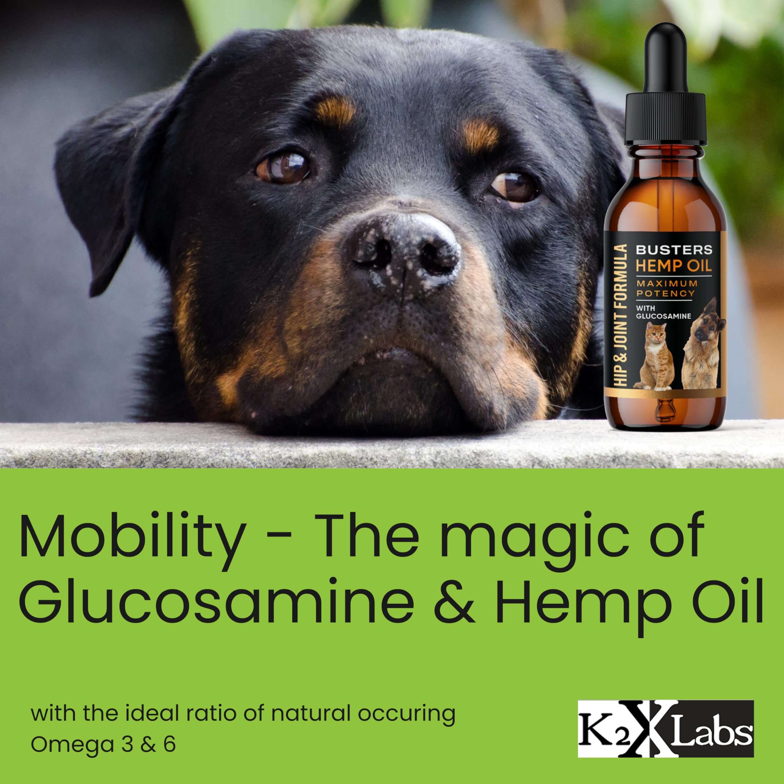 Busters Hip and Joint Hemp Oil Formula enriched with Glucosamine, Pain Relief for Dogs and Pets, Arthritis, and Advanced Mobility Support K2xLabs Au supplements