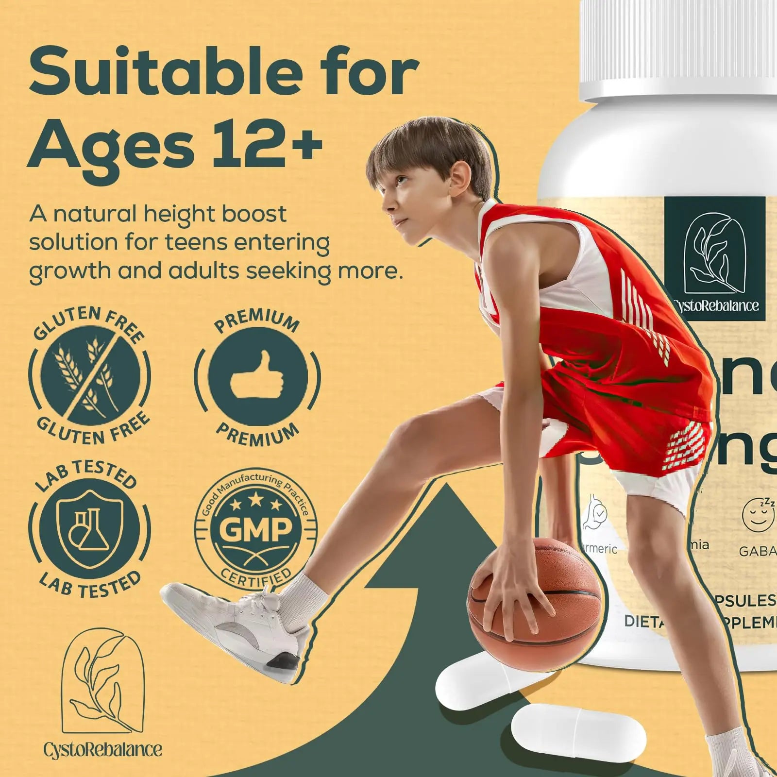 CystoRebalance 25-in 1 Bone Strength Supplement - for Natural Growth, Digestion and Stress - High Absorption - Calcium, Magnesium, Zinc, Ashwaganda and Multivitamins for Age 12+ | 60 Caps CystoRebalance Au supplements