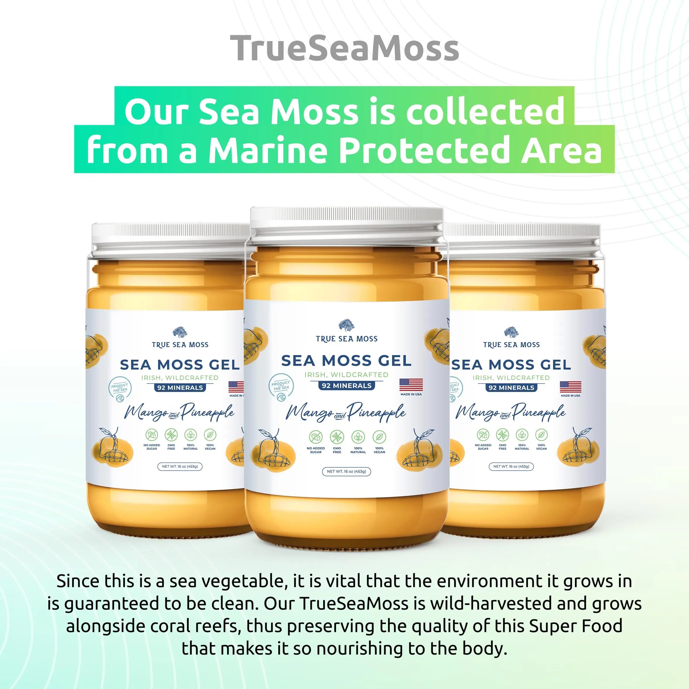 TrueSeaMoss Wildcrafted Irish Sea Moss Gel –7 Flavors- Nutritious Organic Raw TrueSeaMoss Au supplements