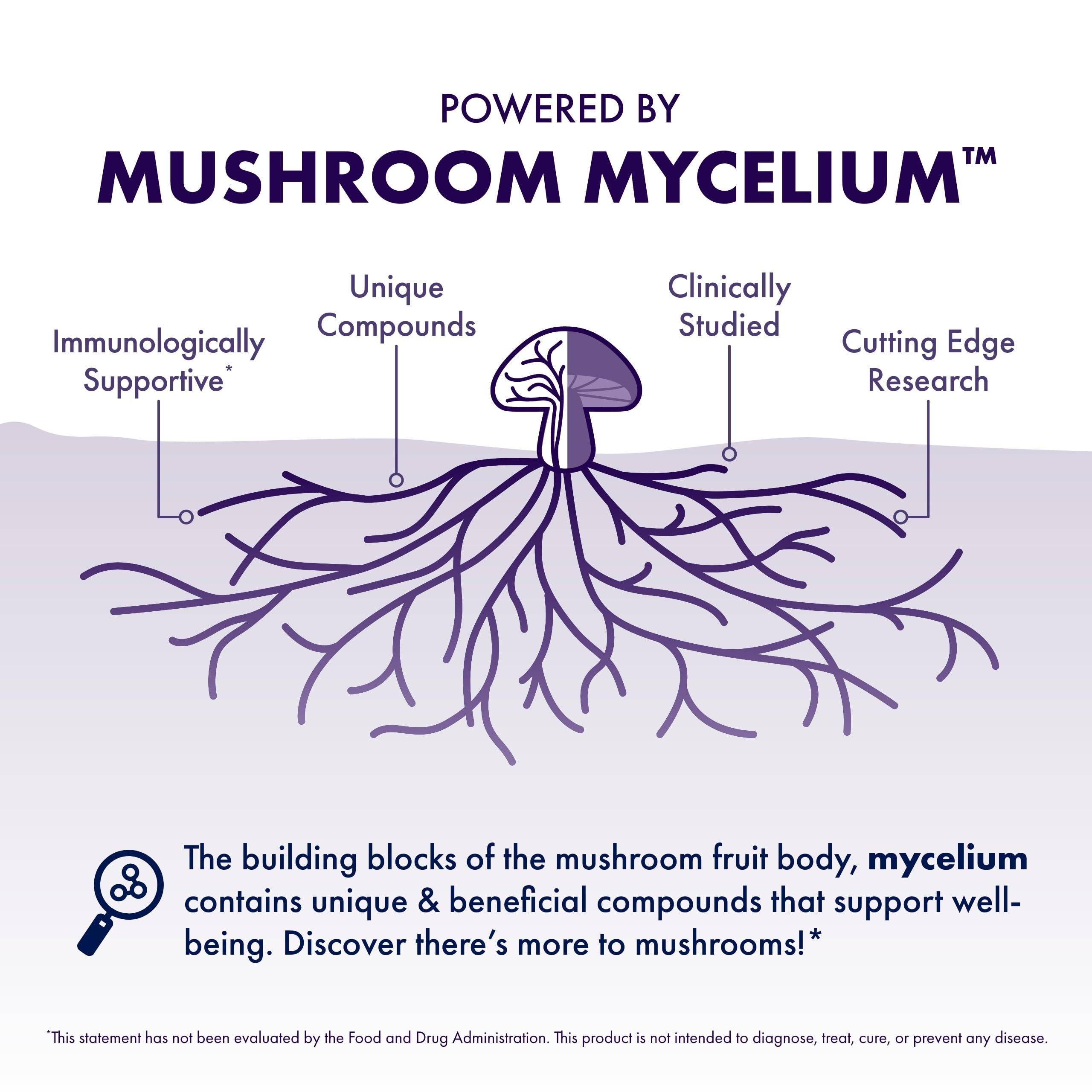 Host Defense MycoBotanicals Brain* Capsules - Brain Support Supplement with Lion's Mane, Reishi & Cordyceps Mushroom - Herbal Supplement for Memory & Focus Support - 60 Capsules Host Defense Au supplements