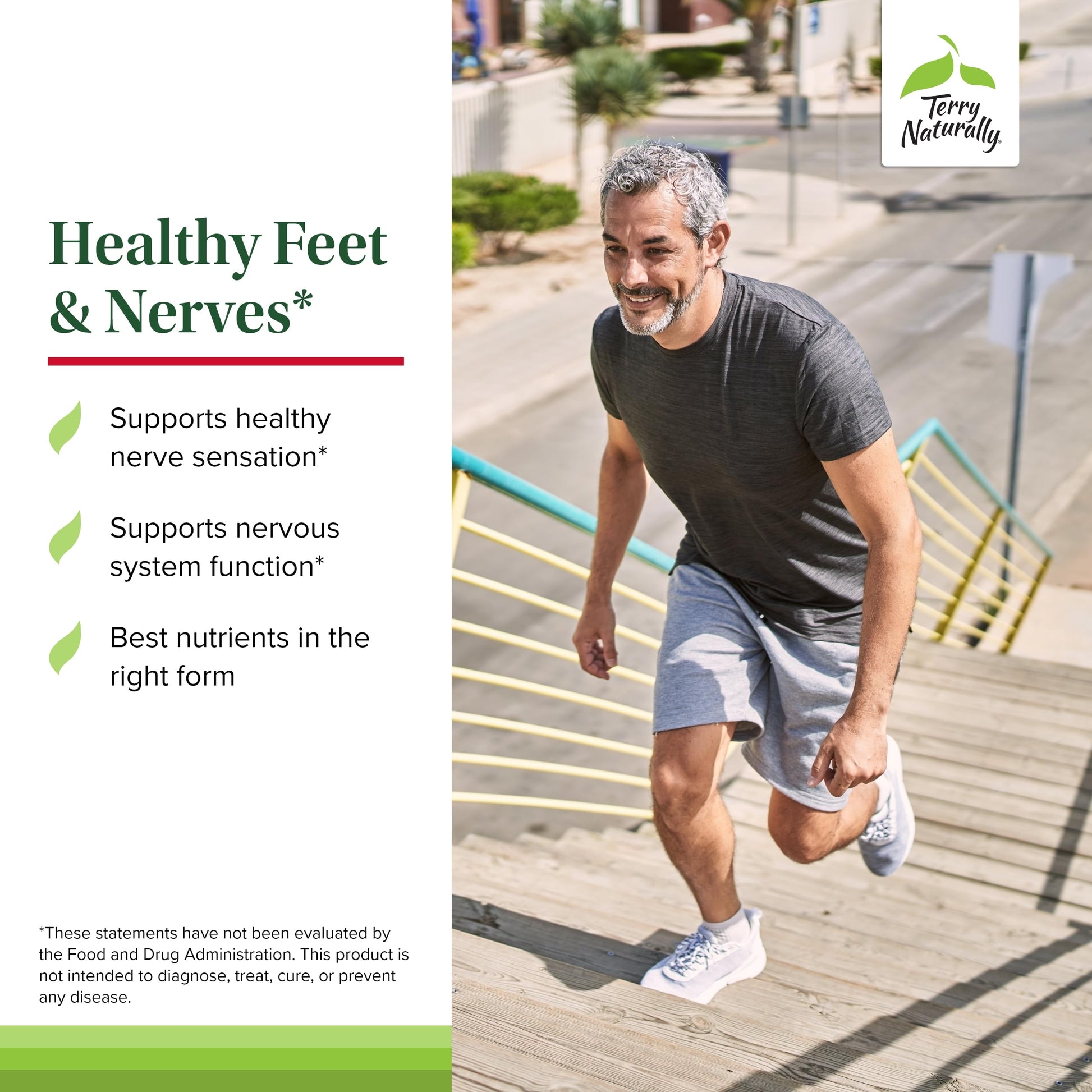 Terry Naturally Healthy Feet & Nerves - Herbal Supplement with Bioactive Vitamin B12 - Circulation & Nerve Health Support Supplement - Vegan Capsules with Boswellia Serrata - 60 Capsules Terry Naturally Au supplements