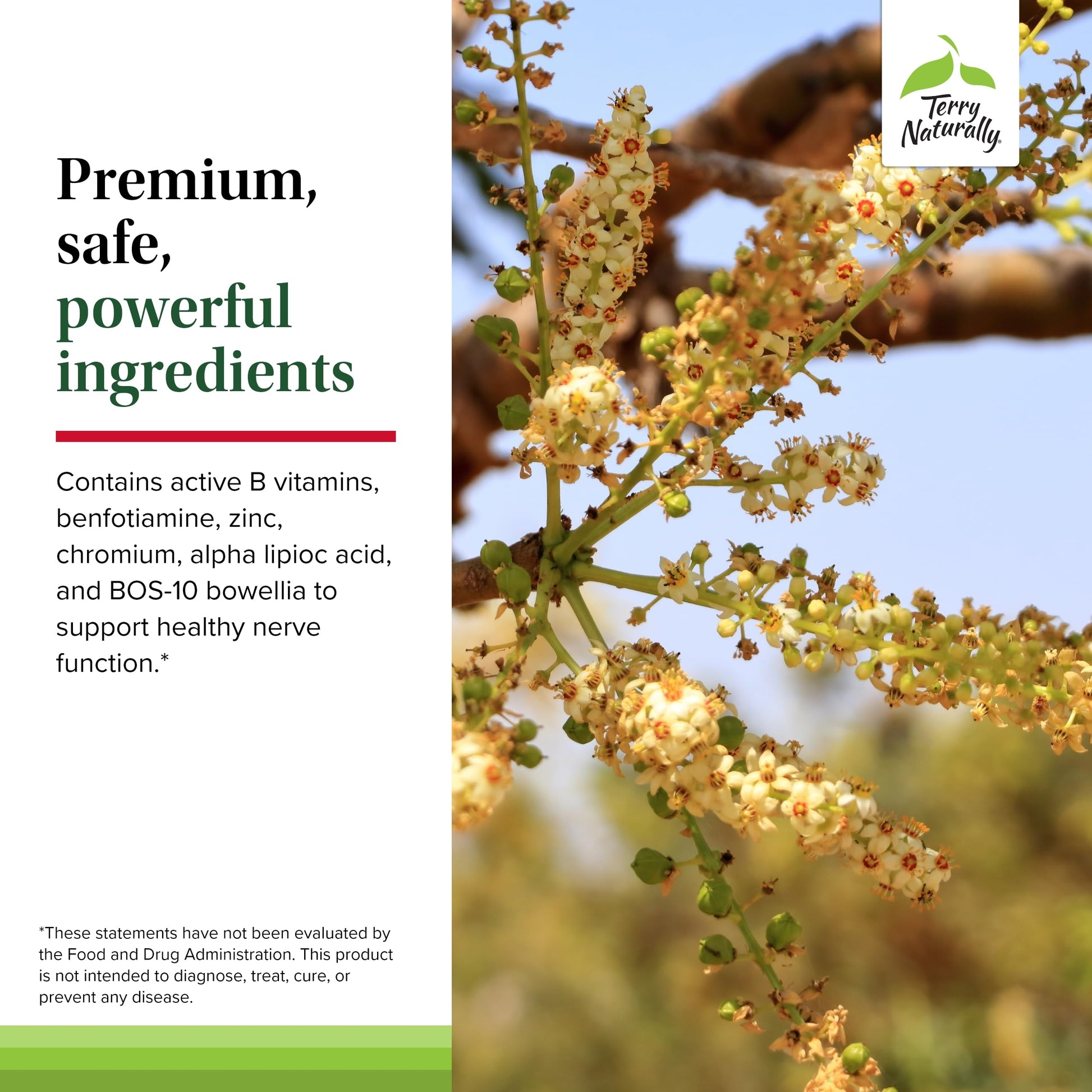 Terry Naturally Healthy Feet & Nerves - Herbal Supplement with Bioactive Vitamin B12 - Circulation & Nerve Health Support Supplement - Vegan Capsules with Boswellia Serrata - 60 Capsules Terry Naturally Au supplements