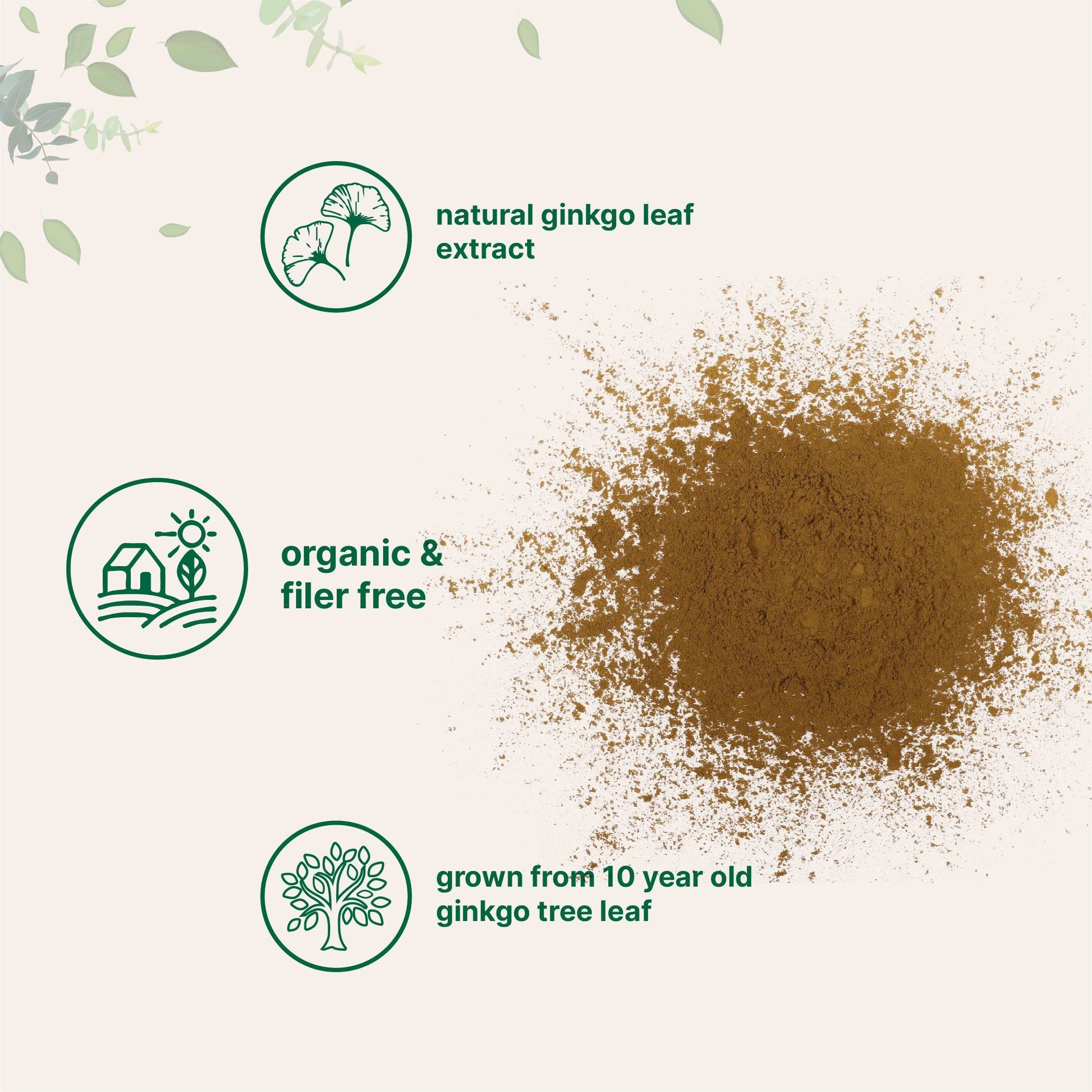 Micro Ingredients Raw Organic Ginkgo Biloba Powder, 8 Ounce (18 Months Supply) Micro Ingredients Au supplements