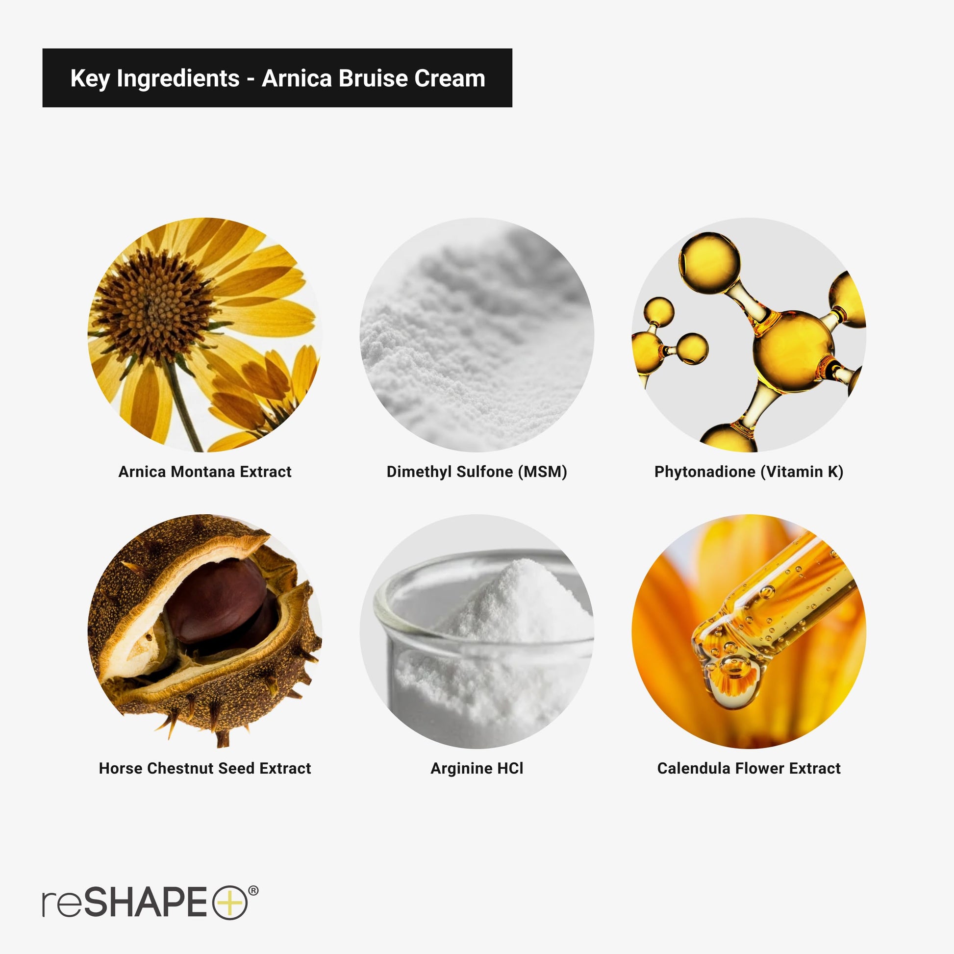 Reshape+ Arnica Bruise Relief Topical Cream For Bruising, Swelling, & Discoloration On Skin, Natural Skin Care Homeopathic Arnica Lotion W/Vitamin K, Horse Chestnut, & Collagen, Large 8 Fl Oz Reshape+ Au supplements