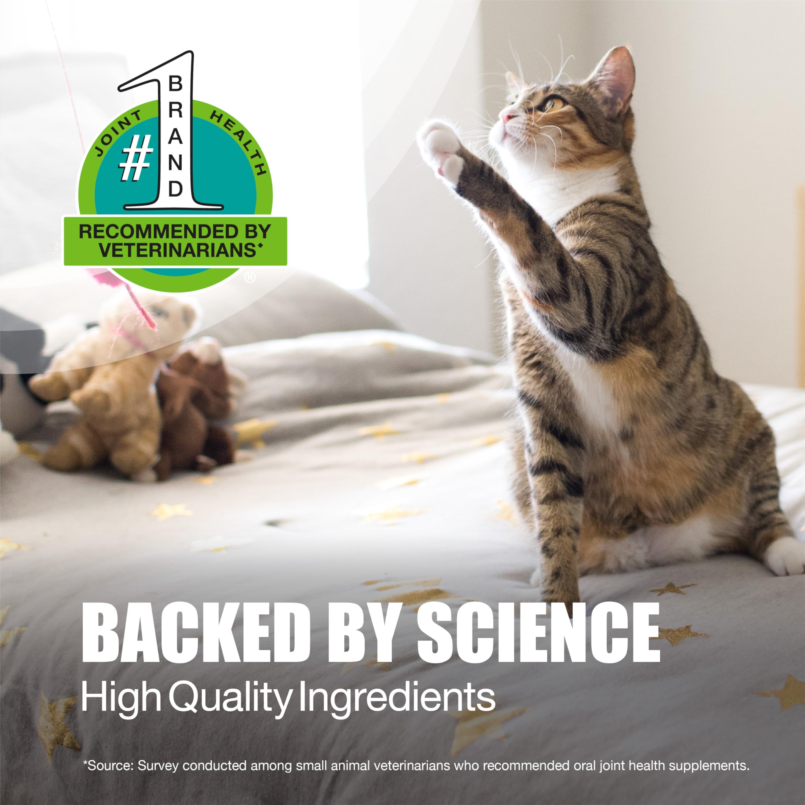 Nutramax Laboratories Dasuquin Joint Health Supplement for Cats - With Glucosamine, Chondroitin, ASU, Boswellia Serrata Extract, and Green Tea Extract, 84 Capsules Nutramax Laboratories Au supplements
