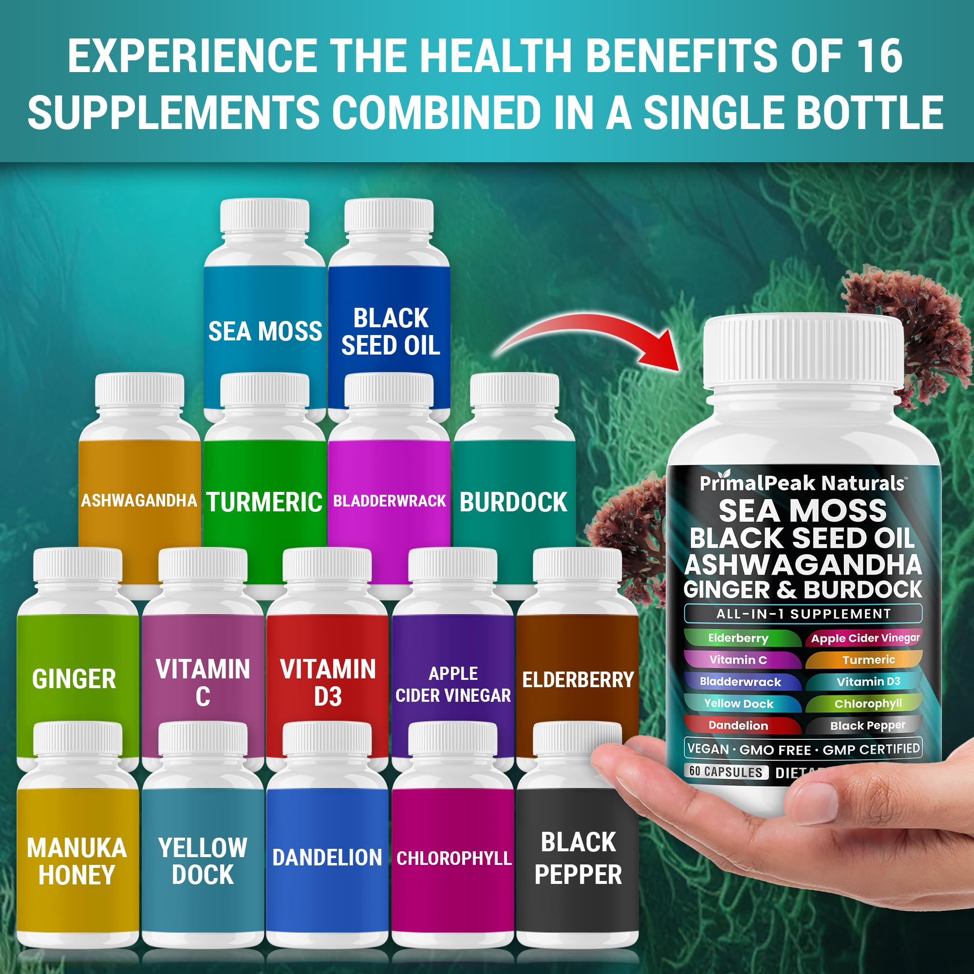 PrimalPeak Naturals Sea Moss Black Seed Oil Ashwagandha Ginger Burdock Bladderwrack Turmeric & Vitamin C Vitamin D3 with ACV Elderberry Chlorophyll Dandelion Yellow Dock Vegan Capsules - 60 Count PrimalPeak Naturals Au supplements