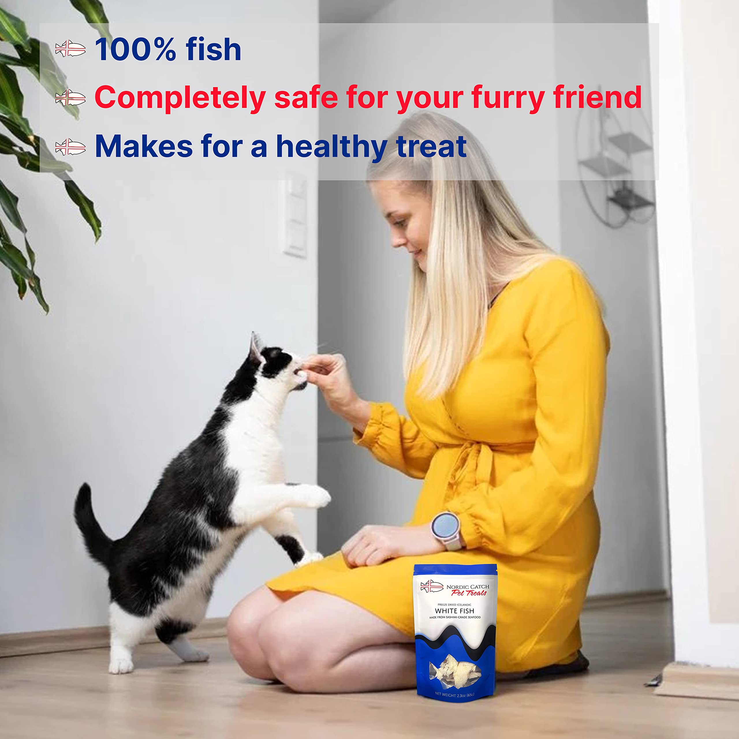 Nordic Catch Freeze Dried Fish Pet Treats from Iceland - Pure, All Natural Seafood Snacks for Dogs, Cats and Other Pets - Human Safe Ingredients, Made from Sashimi Grade Seafood - White Fish Nordic Catch Au supplements