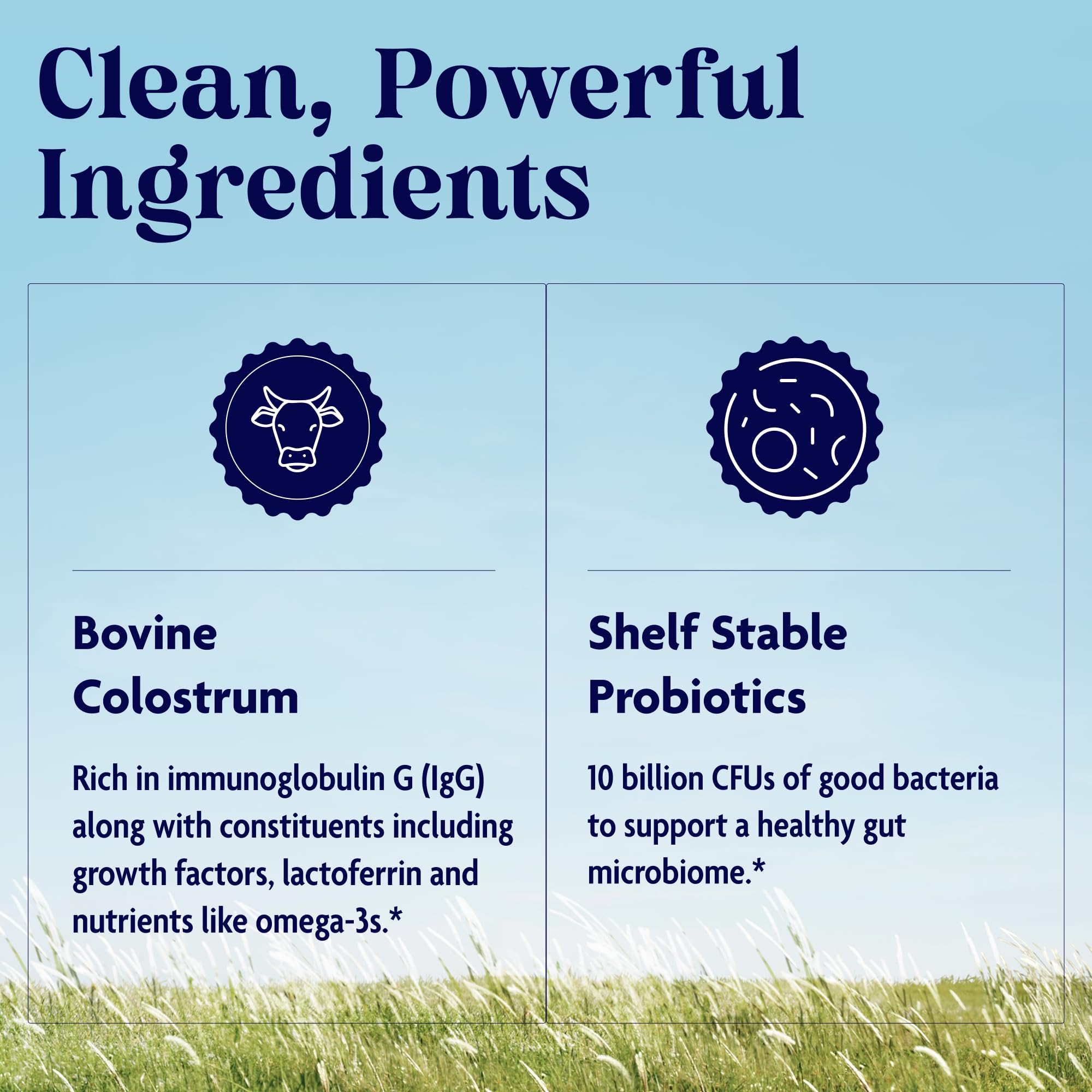 Enzymedica Colostrum + Probiotics Powder Supplement - Grass Fed Bovine Colostrum for Women & Men, Peptide & Lactoferrin Support, Promotes Hair, Skin, Nails, Immune & Gut Health, Gluten Free - 3.25 oz Enzymedica Au supplements