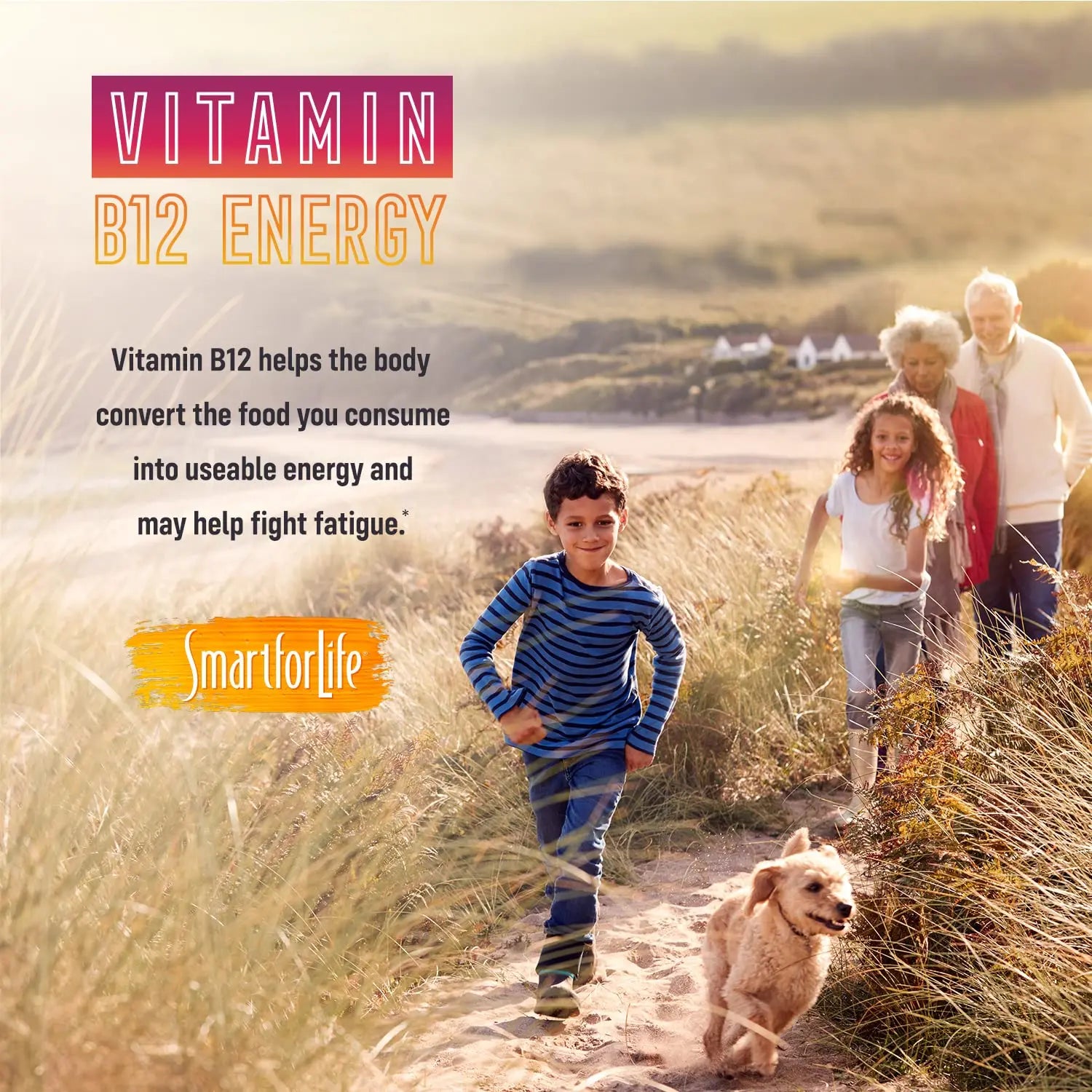 B12 Gummy Vitamins - 1500 mcg Vitamin B12 Gummies for Adults and Kids - Helps with Energy, Metabolism, Bone Nervous System Support Smart for Life Au supplements