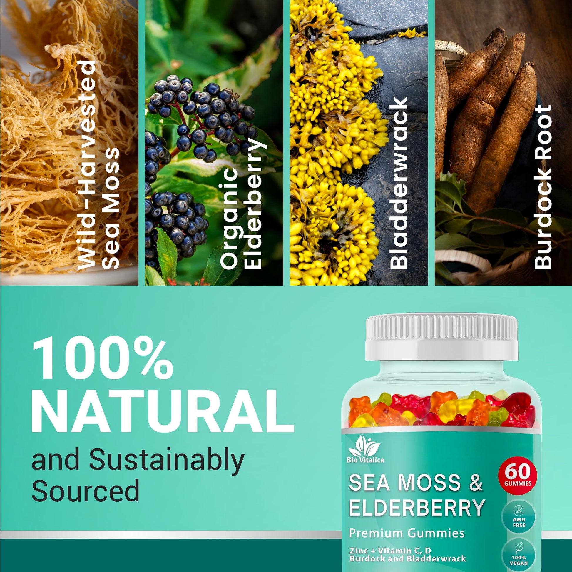 BIO VITALICA Irish Sea Moss Gummies with Elderberry – USA Made Vegan Gummies with Vitamin C, D & Zinc – Immune Support Supplement with Bladderwrack & Burdock Root for Adults & Kids – 3 Packs BIO VITALICA Au supplements
