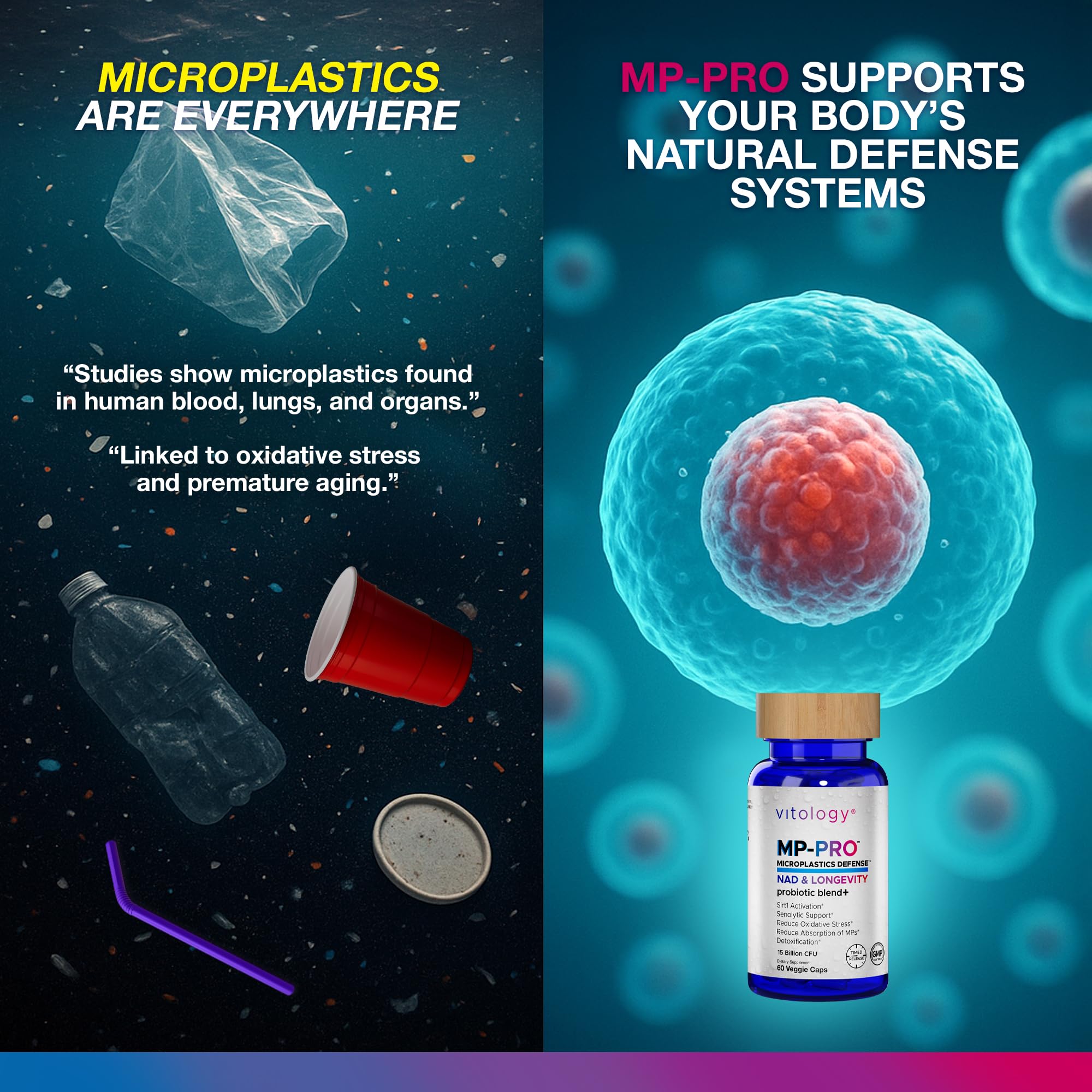 Vitology MP-PRO Microplastics Defense | 15 Billion CFU Probiotic + Antioxidant Blend | NMN, NAC, Glutathione, Resveratrol & Charcoal | Supports Cellular Detox, Longevity & Gut Health – 60 Capsules Vitology Au supplements