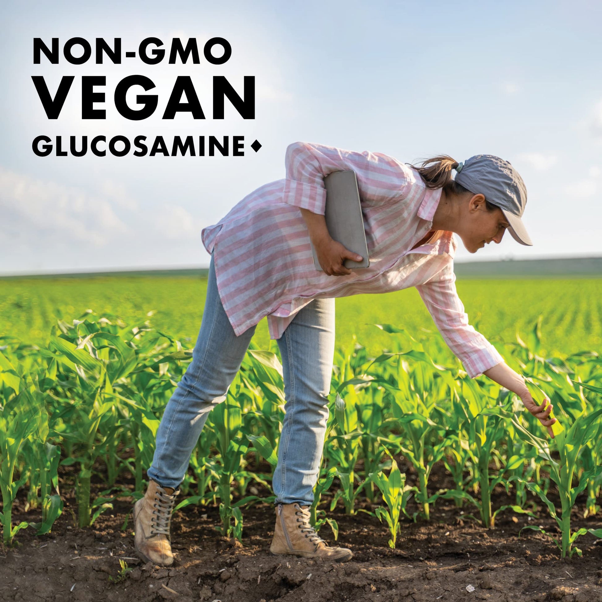 BlueBonnet Vegetarian Glucosamine Plus MSM Supplement, 120 Count ('743715011151) BlueBonnet Au supplements