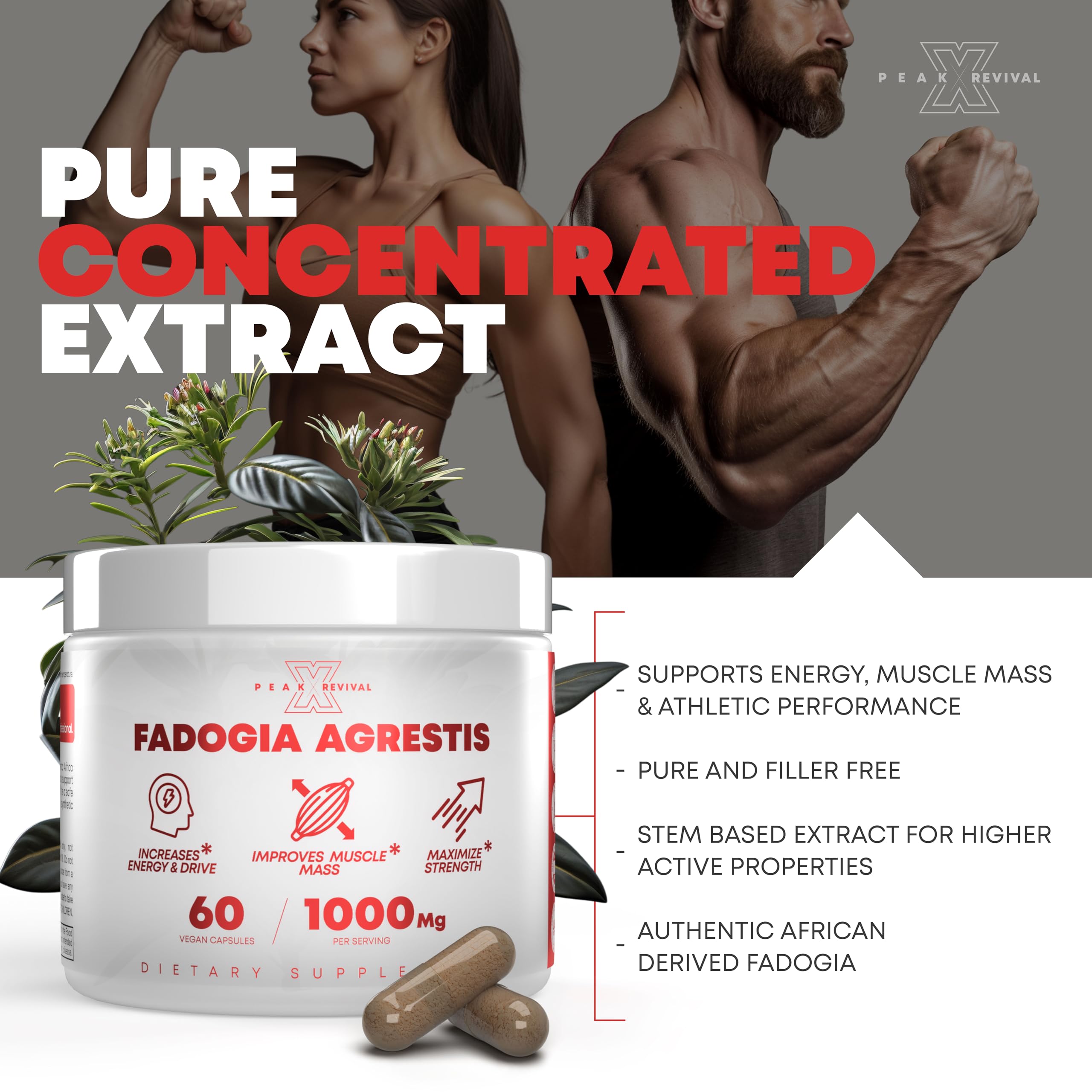 Peak Revival-X Fadogia Agrestis 1000mg Per Serving Supplement - Potent Extract to Increase Energy, Athletic Performance & Muscle Mass - Supplements, Made in The USA (60 Capsules) Peak Revival-X Au supplements