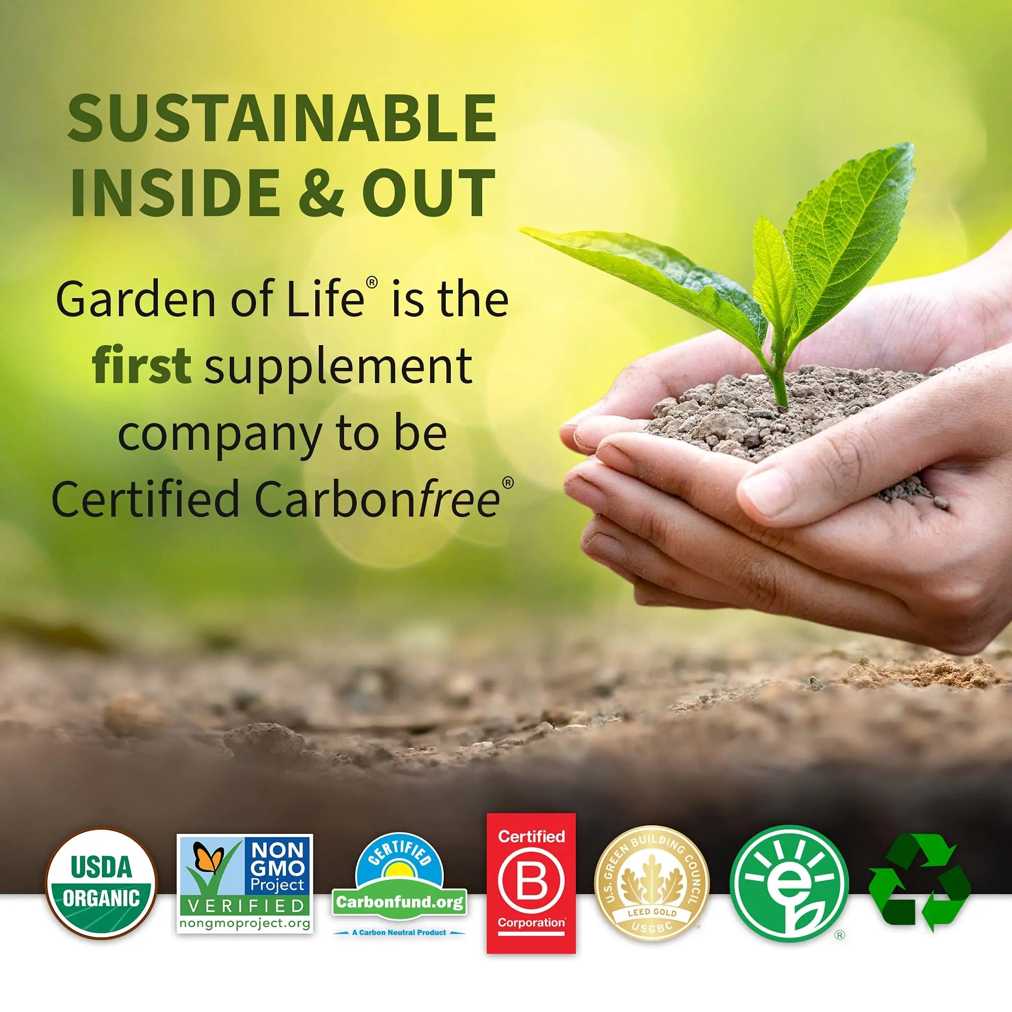 Garden of Life Vegan Protein Powder - Raw Organic Meal Replacement Shakes Garden of Life Au supplements