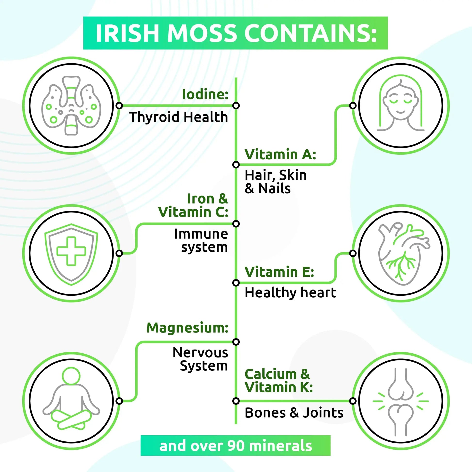 Irish Sea Moss Gel TrueSeaMoss Au supplements