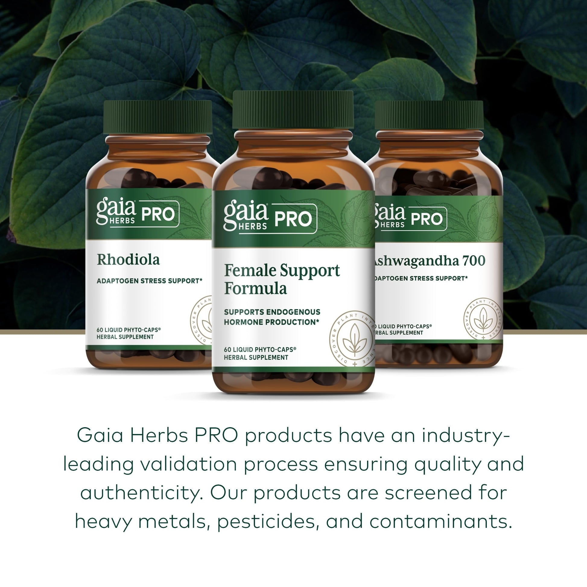GAIA HERBS PRO Female Support Formula - Supports Healthy PMS & Menopause Fluctuations with Alfalfa Leaf, Black Cohosh Root Extract, Dandelion Root & More* - Vegan - 60 Liquid Phyto-Caps (60 Servings) Gaia Herbs PRO Au supplements