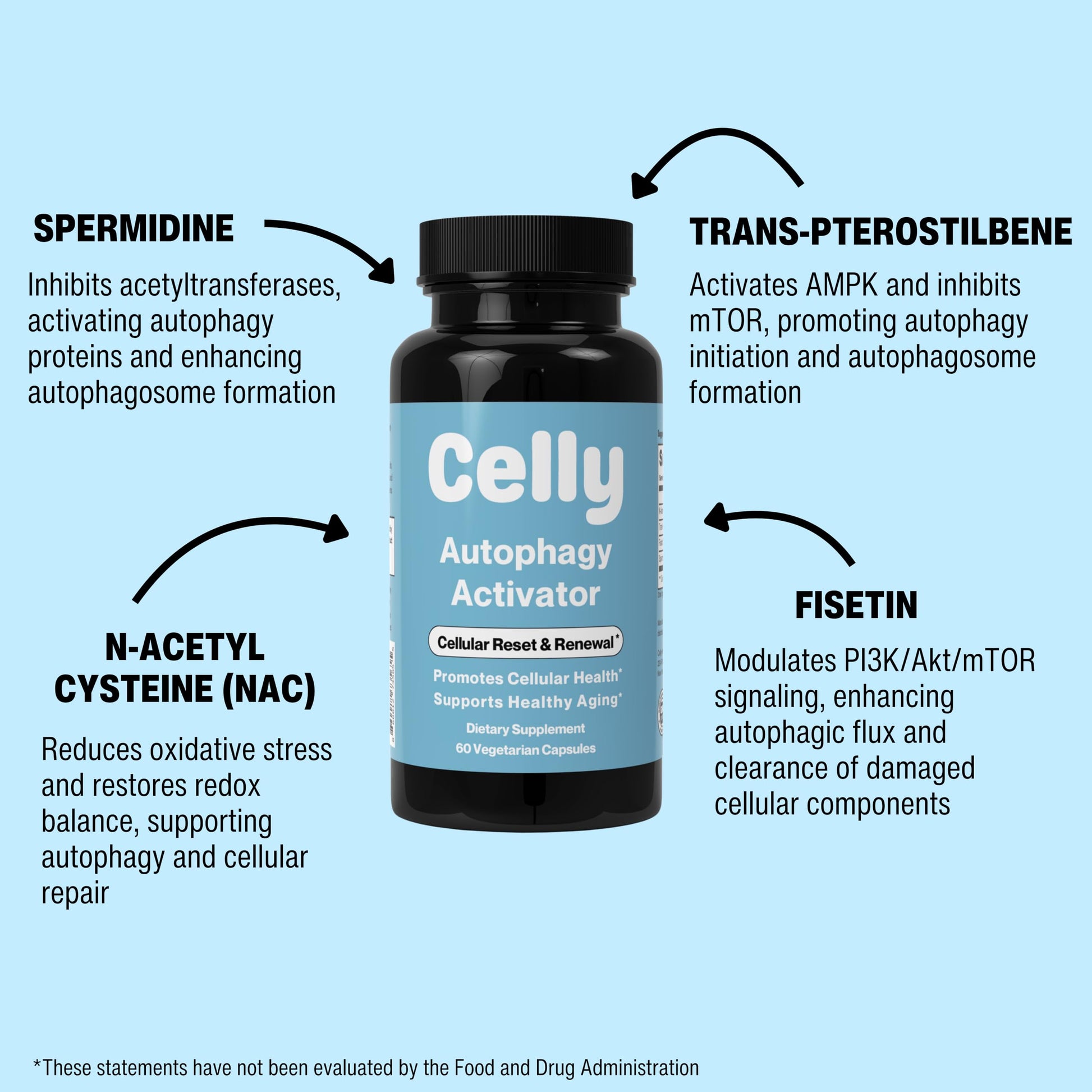 Celly Autophagy Activator | Longevity Supplement for Cellular Nutrition and Healthy Aging | Promotes Cell Renewal with Spermidine, Pterostilbene, Fisetin, and NAC | Made in USA & 3rd Party Tested Celly Au supplements