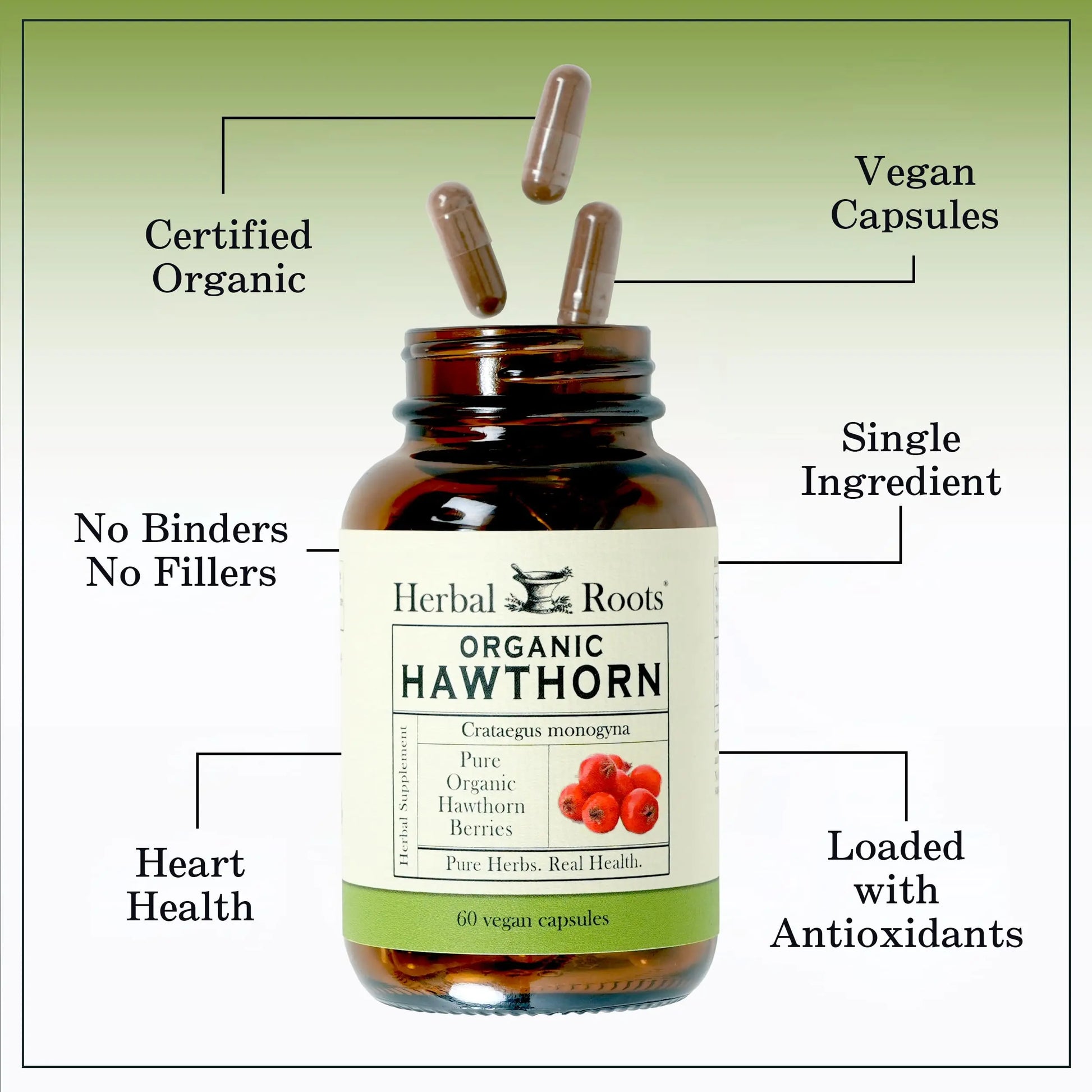 Herbal Roots Organic Hawthorn Berry Capsules | Extra Strength 1,200mg per Serving | 60 Vegan Capsules Herbal Roots Au supplements