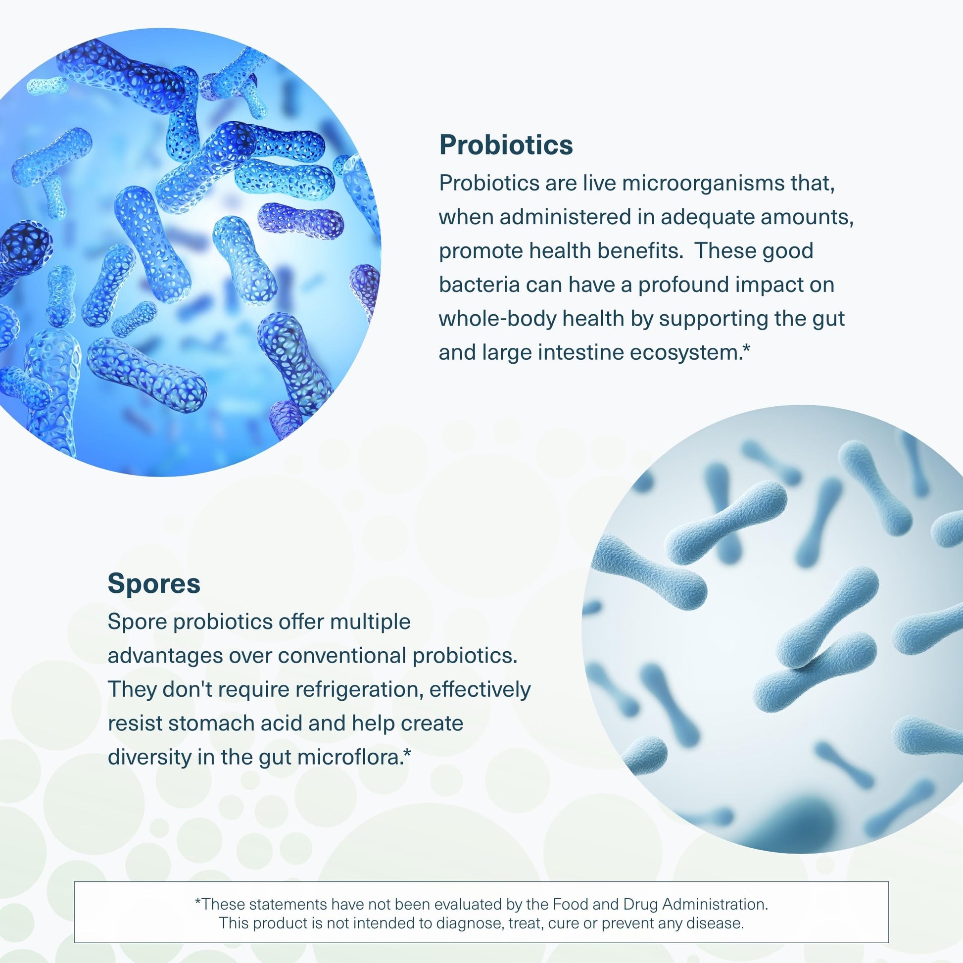 Youtheory Spore Probiotic - Helps Gut Health* - 6 Billion CFU with Prebiotics - Supports Regular Bowel Movement & Diarrhea Relief* - Shelf Stable - 60 Vegetarian Capsules (30-Day Supply) Youtheory Au supplements