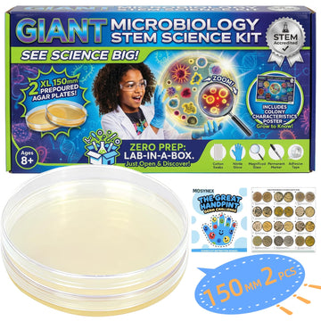 Giant Microbiology Bacteria Science Kit for Kids:2 XL 150mm Prepoured Nutrient Agar Plates, Petri Dishes with Agar & Colony Characteristics Poster for School Projects & Educational Gifts Mosynex Au supplements