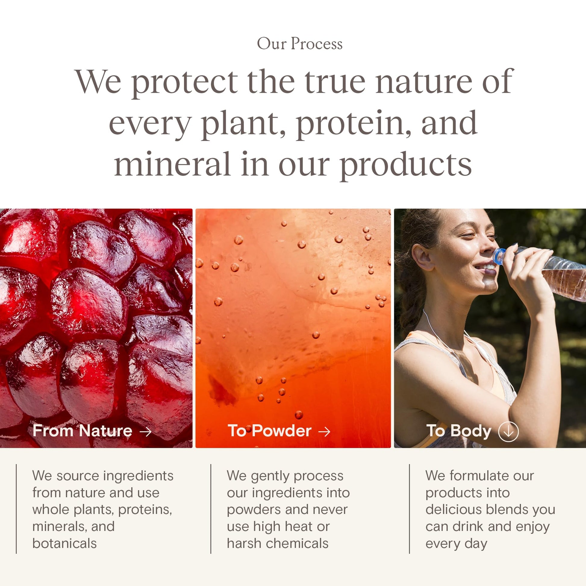 Yoli® Truth Antioxidant and Immune Support Supplement with Vitamin C, Botanicals, Superfruits, and Minerals - Pomegranate, 30 Packets Yoli Au supplements