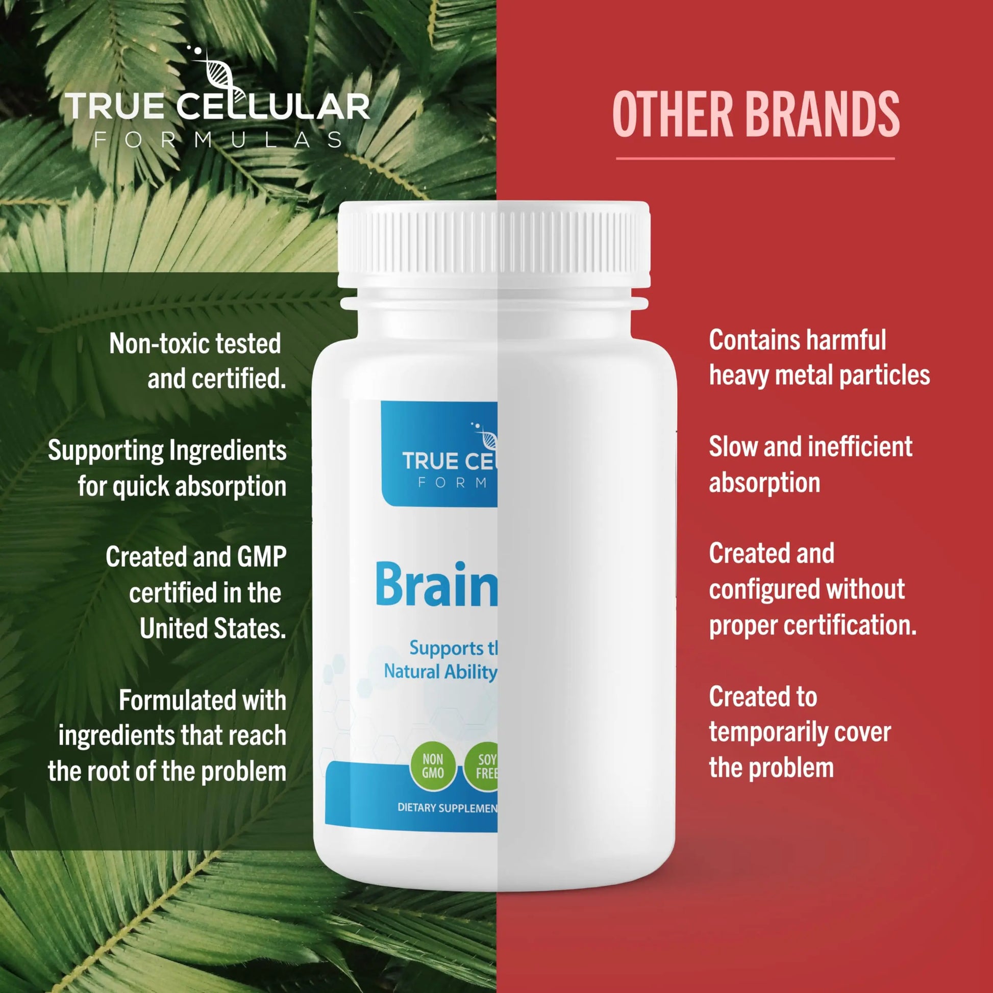 True Cellular Formulas BrainDTX - Supports Cognitive Function, Focus & Mental Clarity - Promotes Clear Thinking & Memory - with Alpha Lipoic Acid & Biotin - Antioxidant Support - 60 Capsules True Cellular Formulas Au supplements